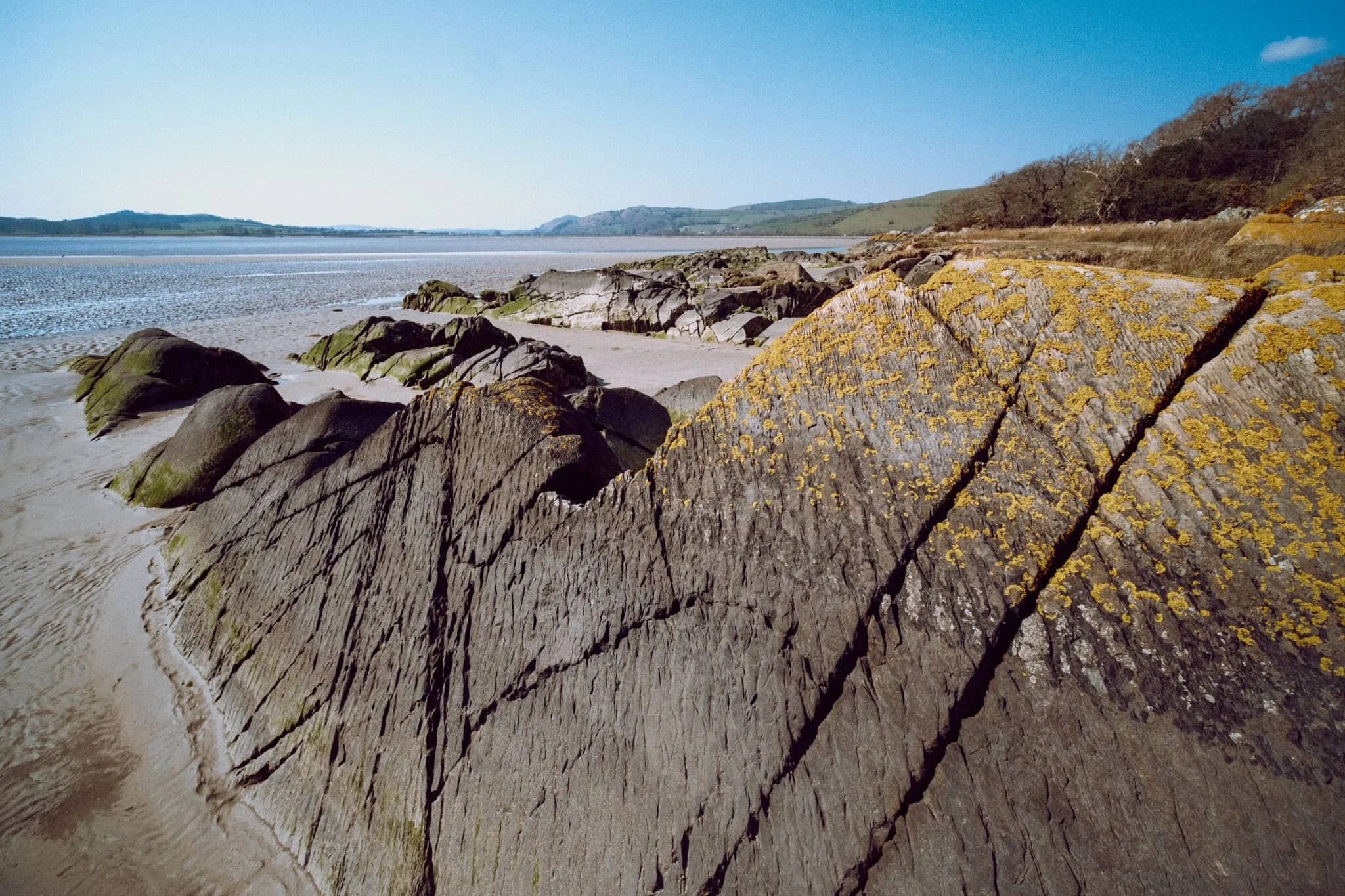 I was transfixed when I saw these rocks and their beautiful lines, textures, and patterns. I had to come get some compositions in.