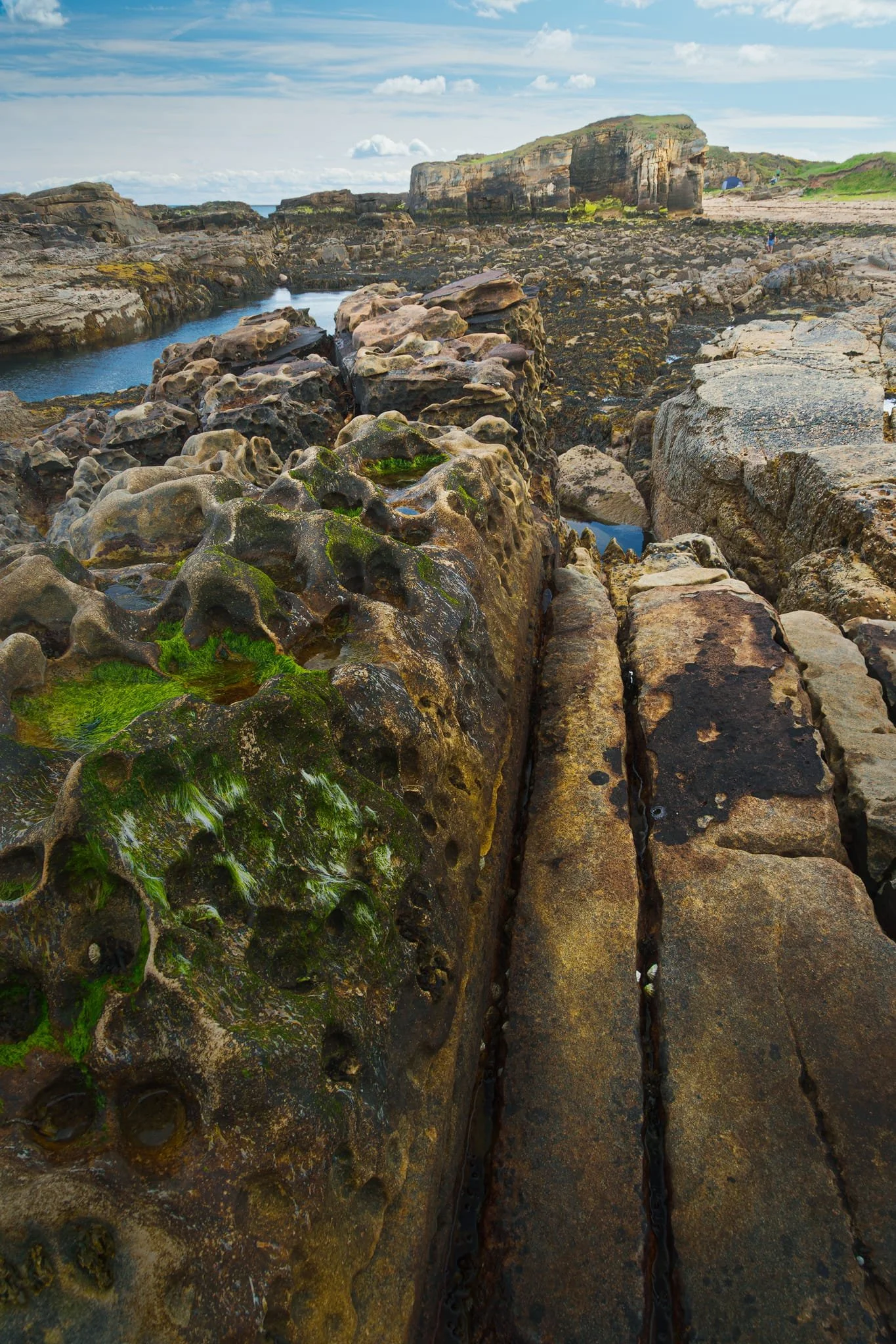  Those deep, rounded pits are caused by salt crystal growth and wet-dry cycling attacking the iron-cemented sandstone, gradually flaking it into a bee-nest pattern. Isn&rsquo;t that  fascinating?  Amazing what nature can do, slowly, given enough time. The long, narrow trench running down the middle follows a vertical fracture; waves and sand-grit slurry have prised that joint open, deepening it into today&rsquo;s little channel. 