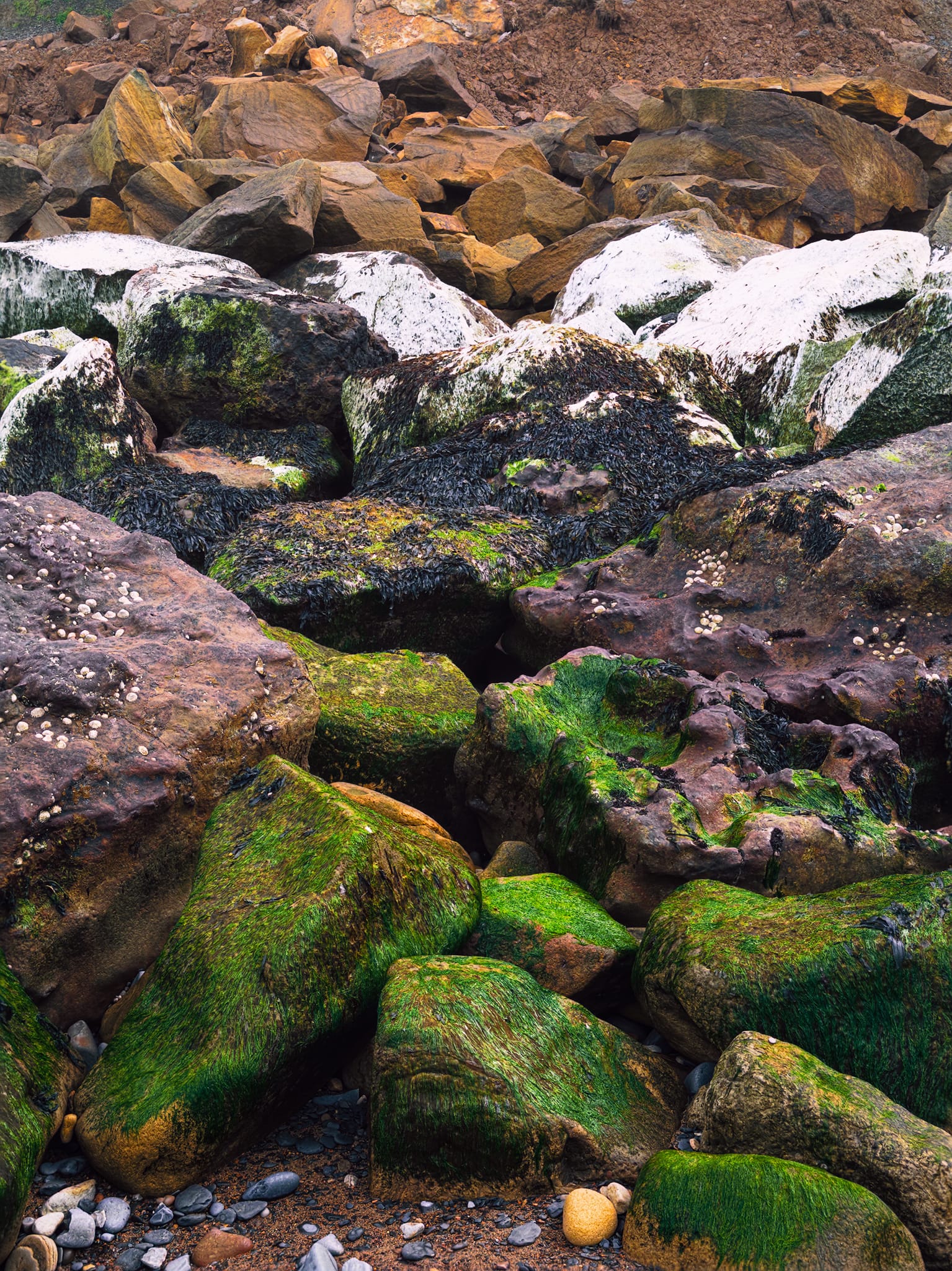 Chunks and boulders that had fallen off the cliff laid in eternal rest, subject to the ever-moving sea and wind. A beautiful layering of texture and colour.