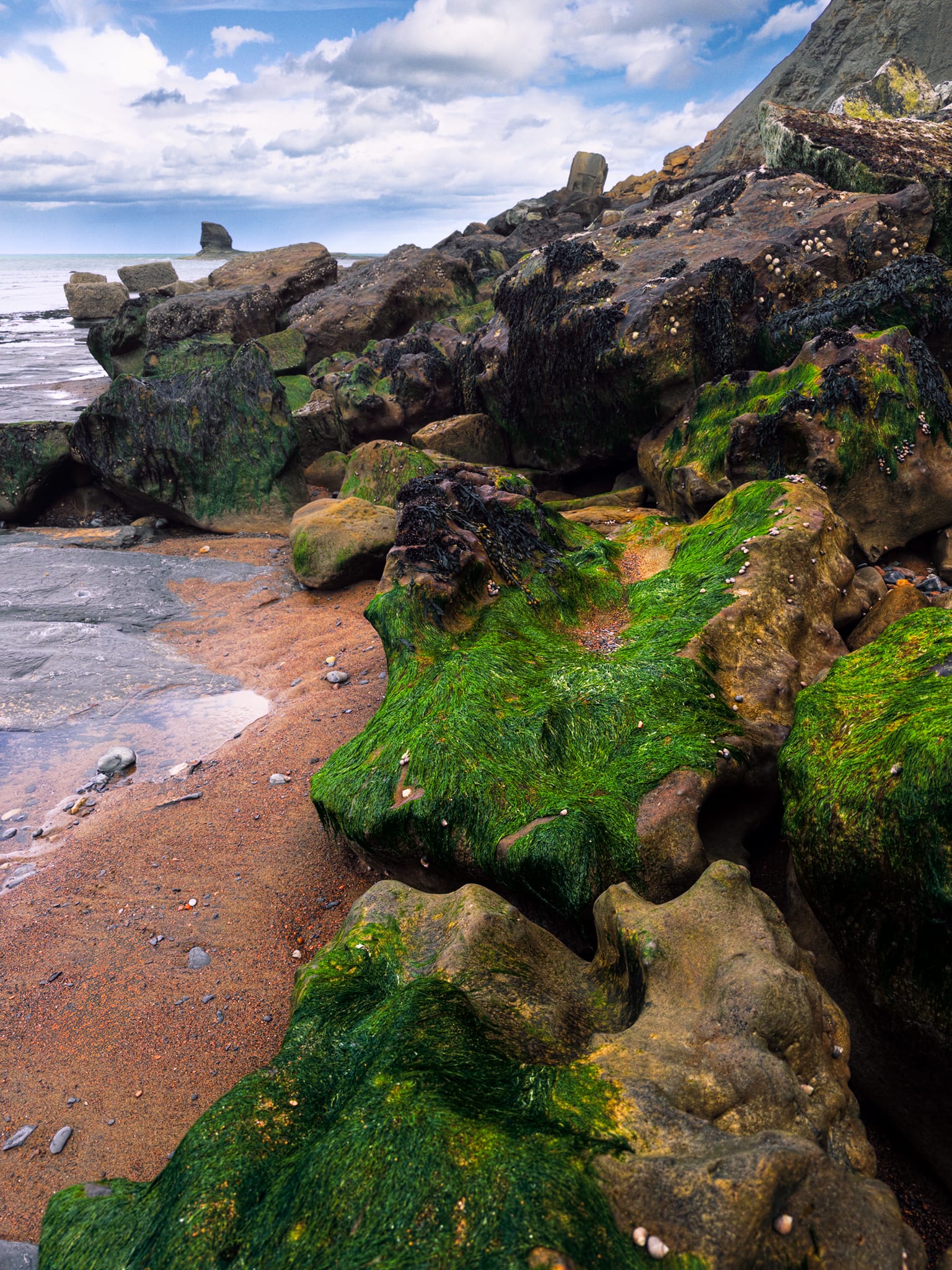 A more expansive composition from the boulder field, this time including Black Nab as well.