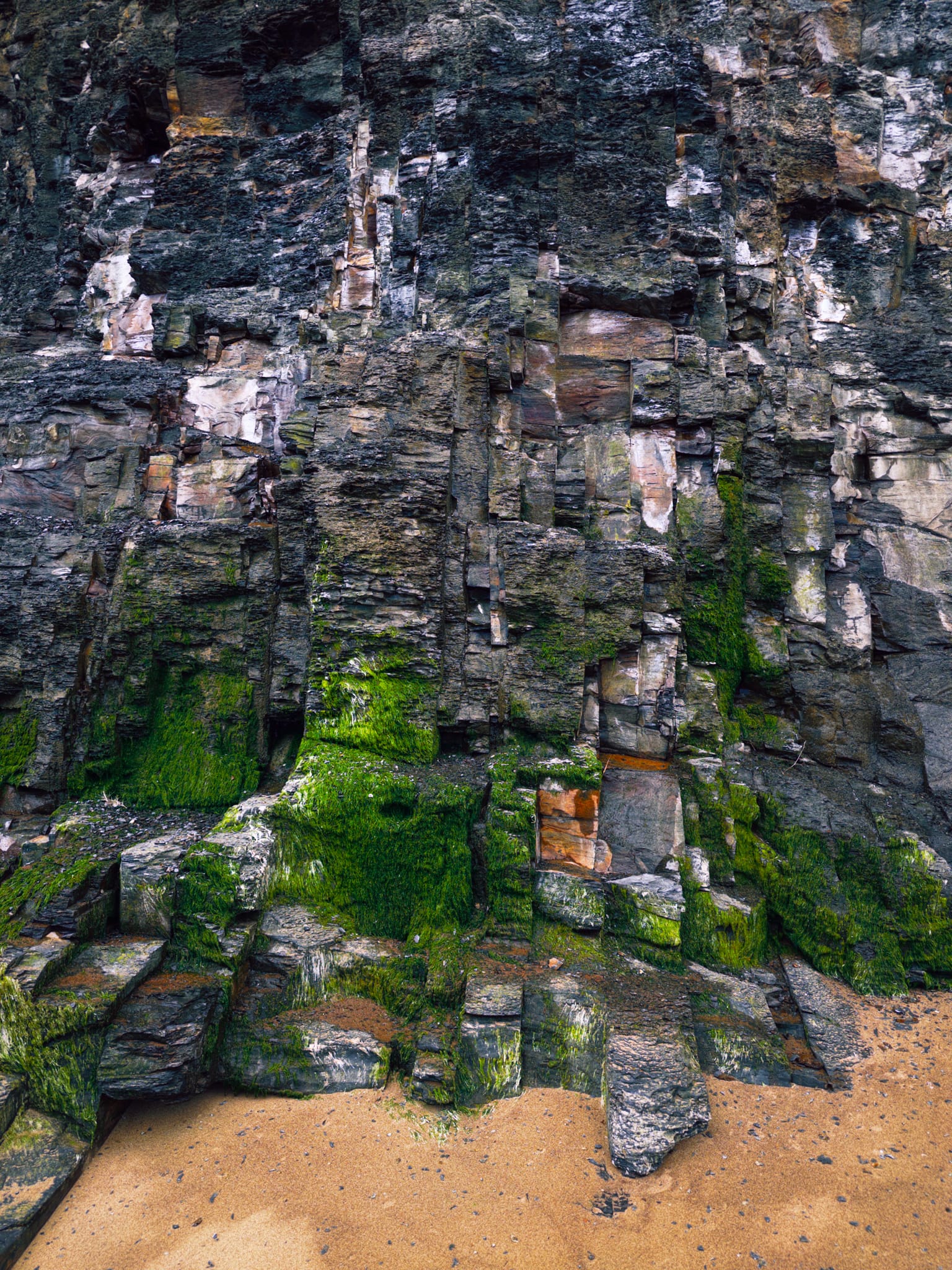 The cliffs are Lower Jurassic shale, ~180 million years old. Vertical jointing cutting across the horizontal bedding gives that fluted look. Sea erosion has exploited these joints to create the paler, more broken sections. Green algae marks the tidal zone at the base.