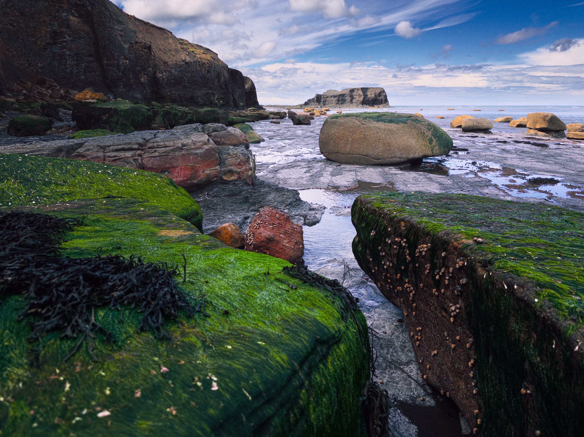 An attempt at some degree of focus stacking use my iPhone. I liked the little channel created by the algae-covered boulders, leading a way into the composition.