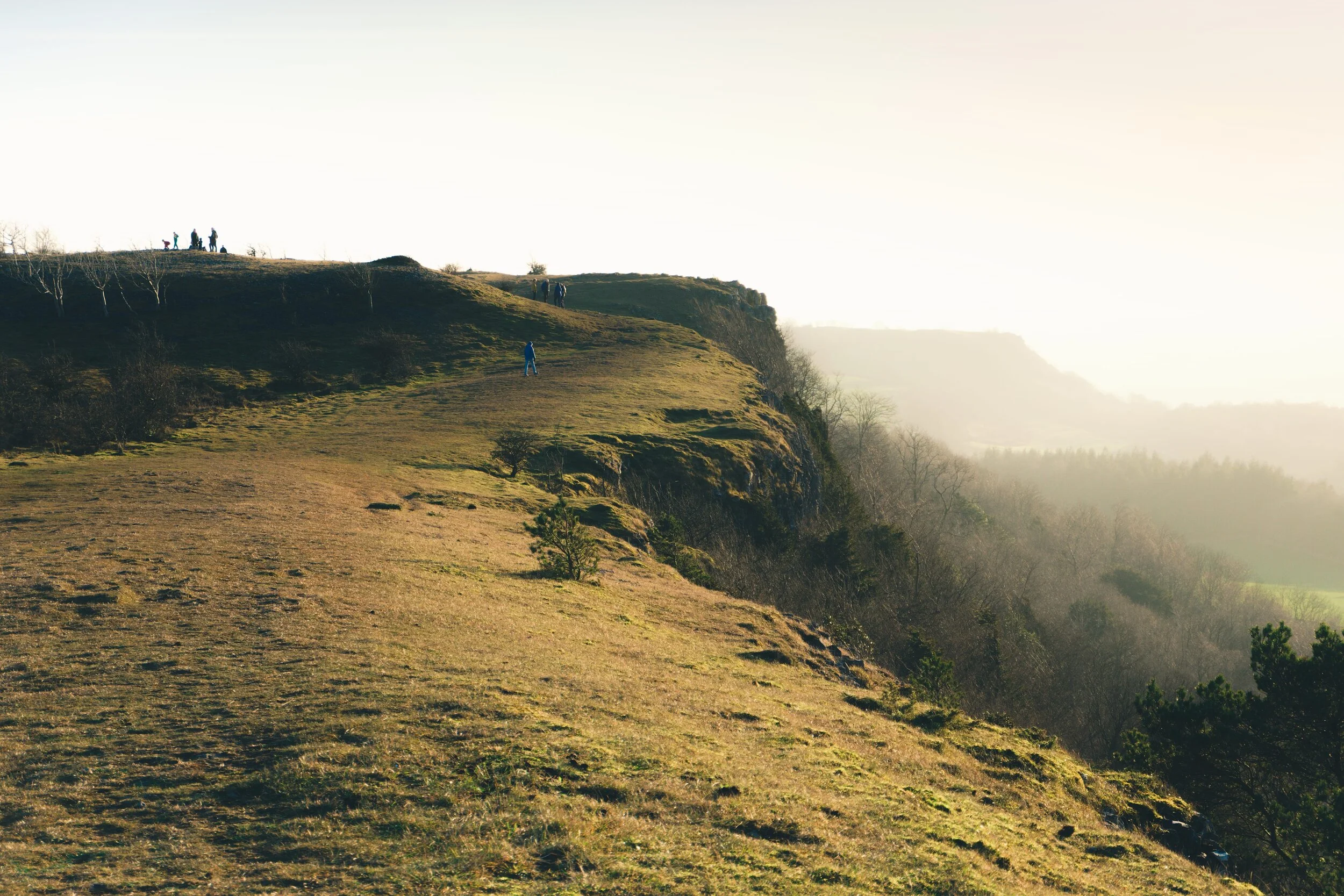 Newyear_Scoutscar 01