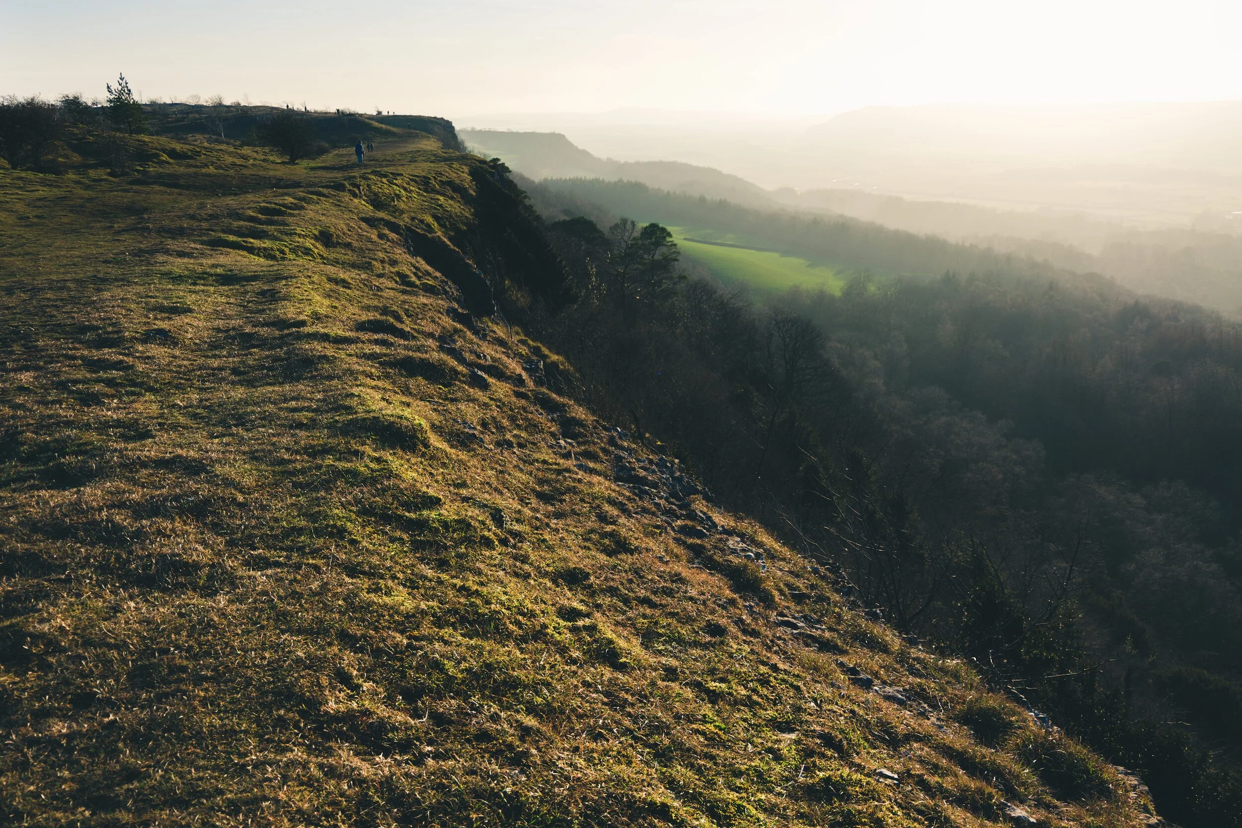 Newyear_Scoutscar 08