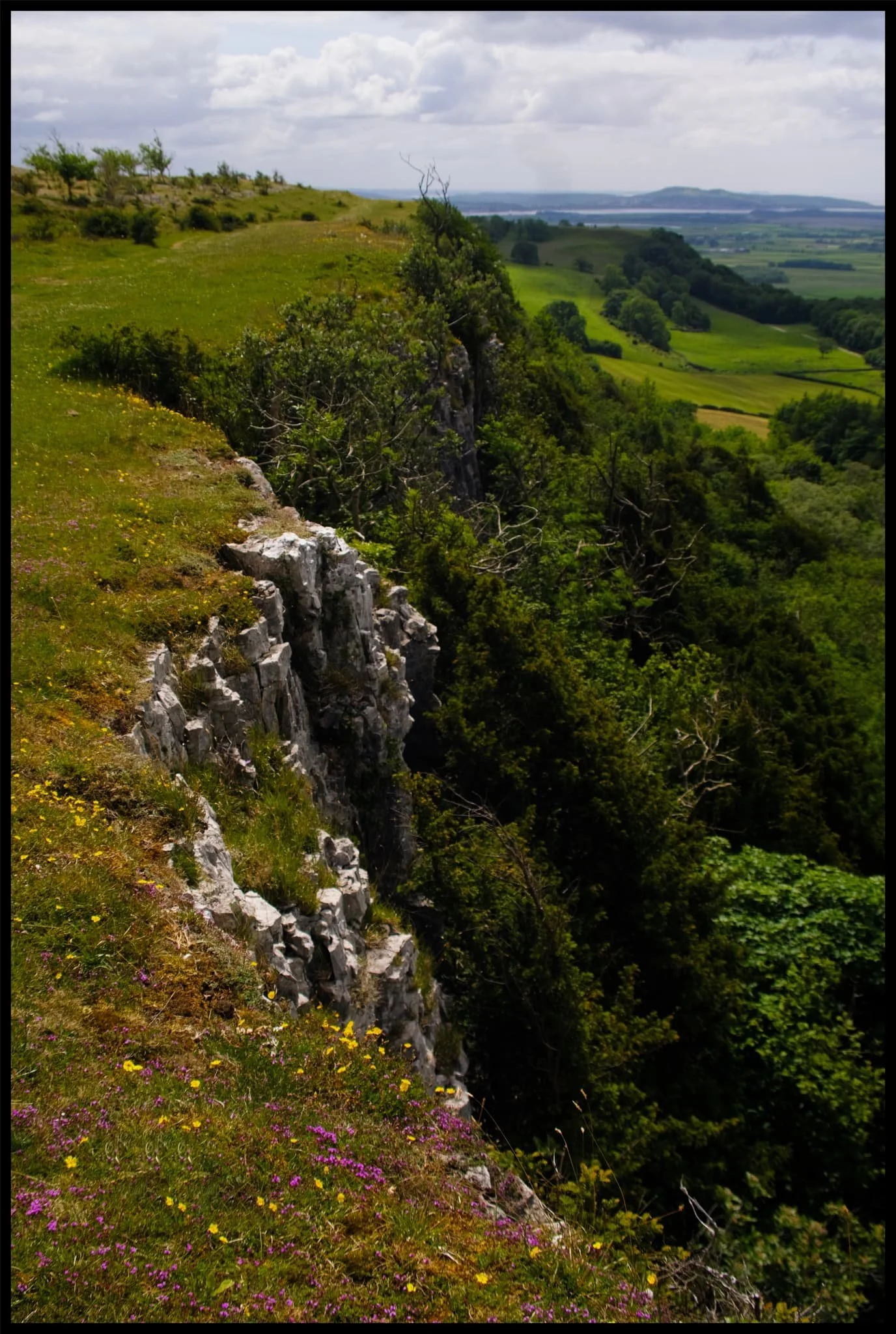  And onto Scout Scar edge! Crackin&rsquo; light all around and still loads of wildflowers along the scar. 