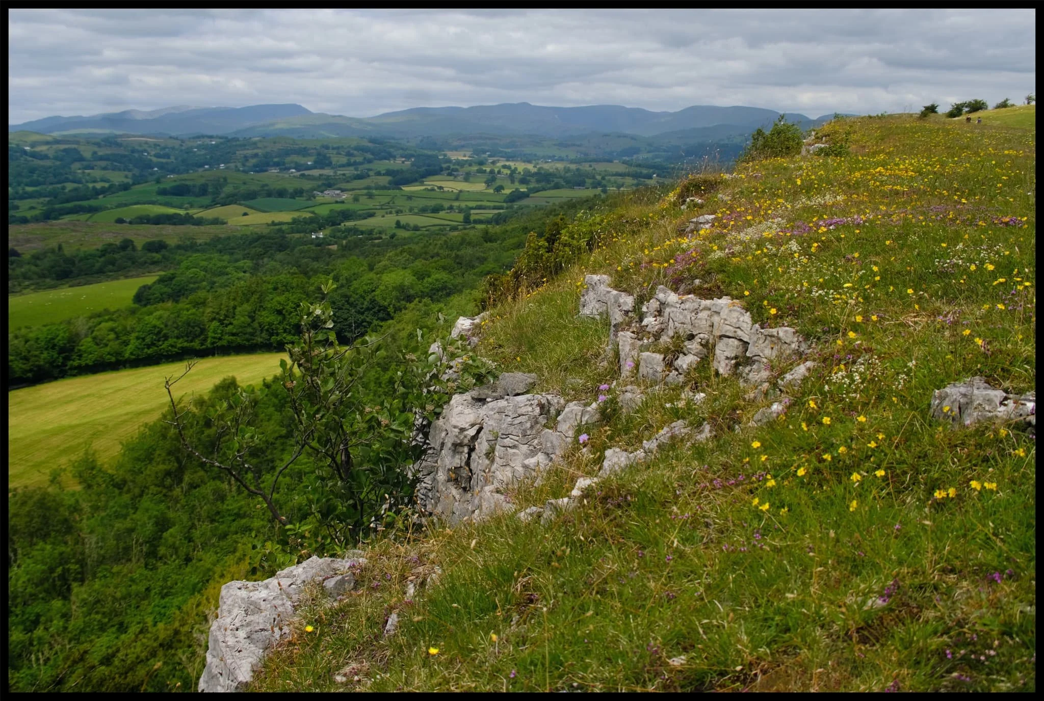  All the way across the Lyth Valley to the Kentmere and Kirkstone fells. 
