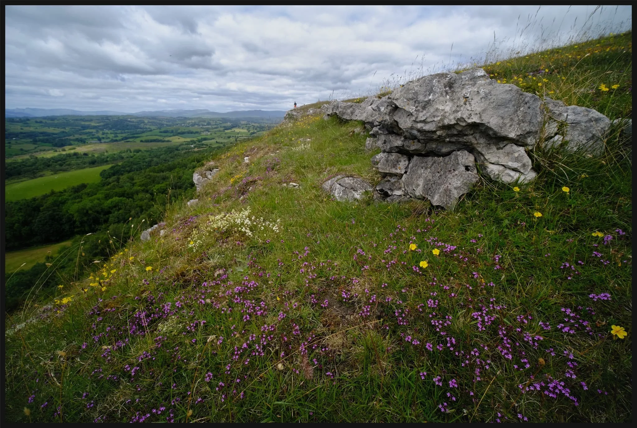  Time to equip the 9mm ultra-wide lens for some near-far compositions. 