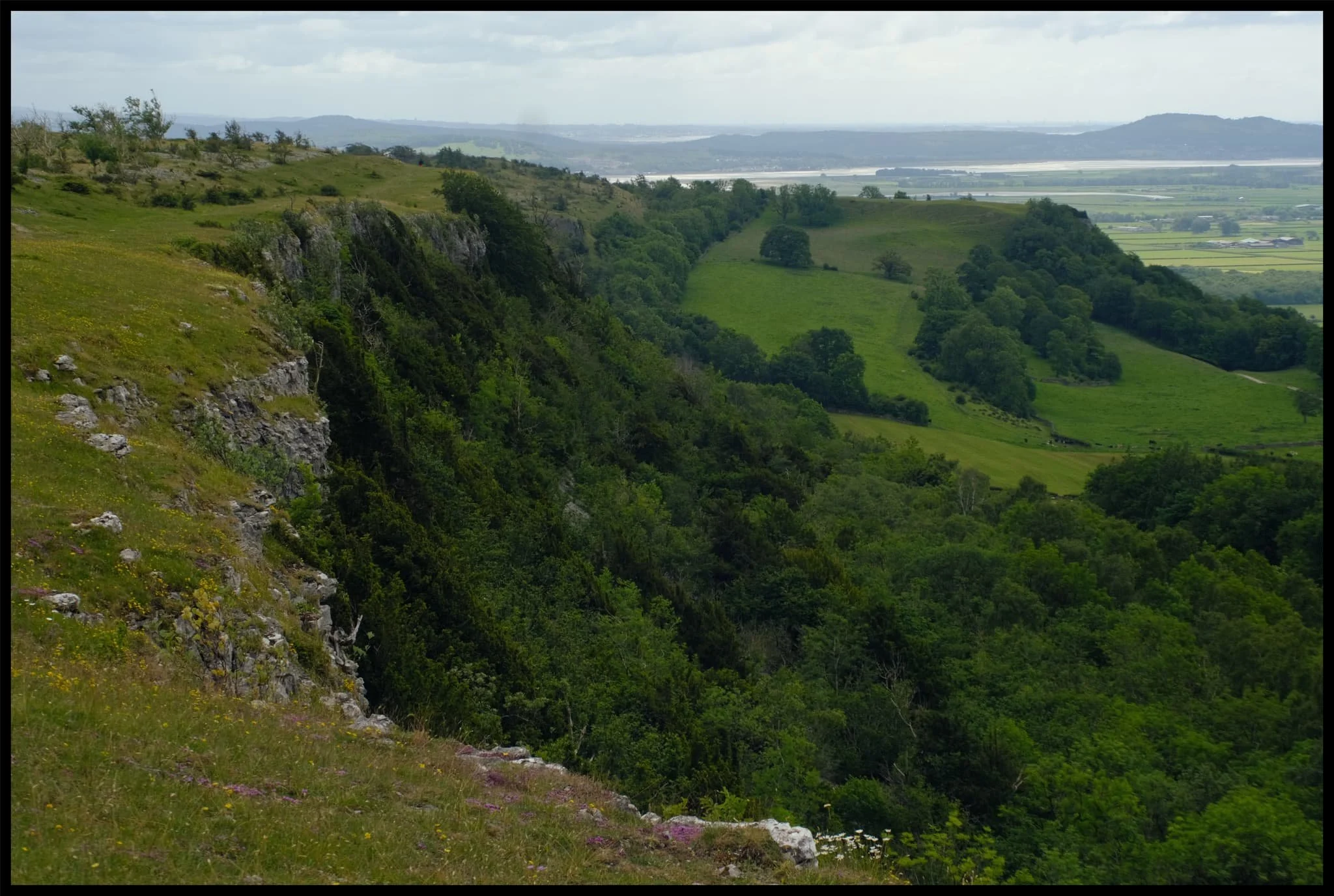  Looking all the way back along the edge of Scout Scar towards the Kent Estuary. 