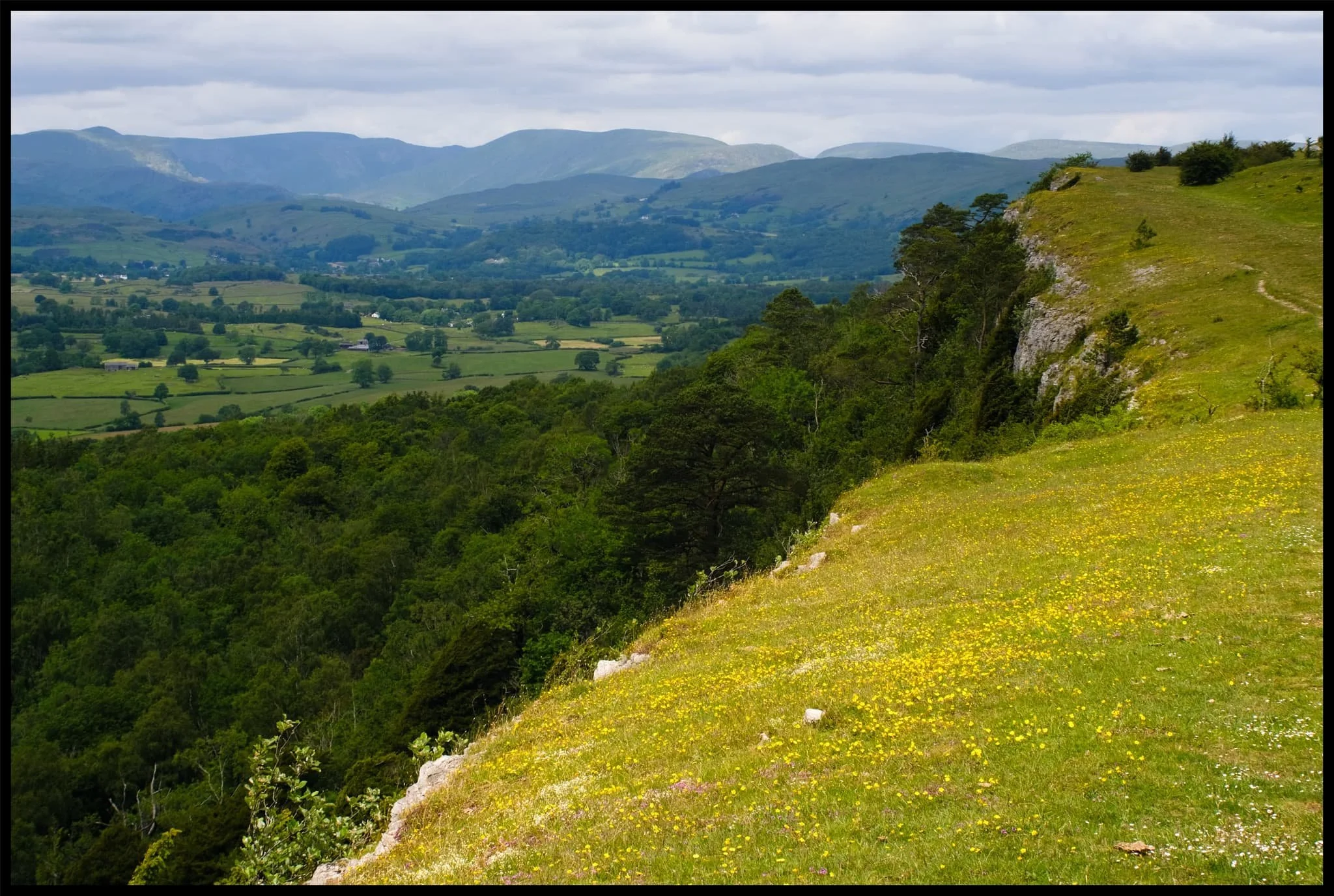  One last look along Scout Scar edge all the way to the Eastern Lake District fells before I venture down the back of the fell again. 