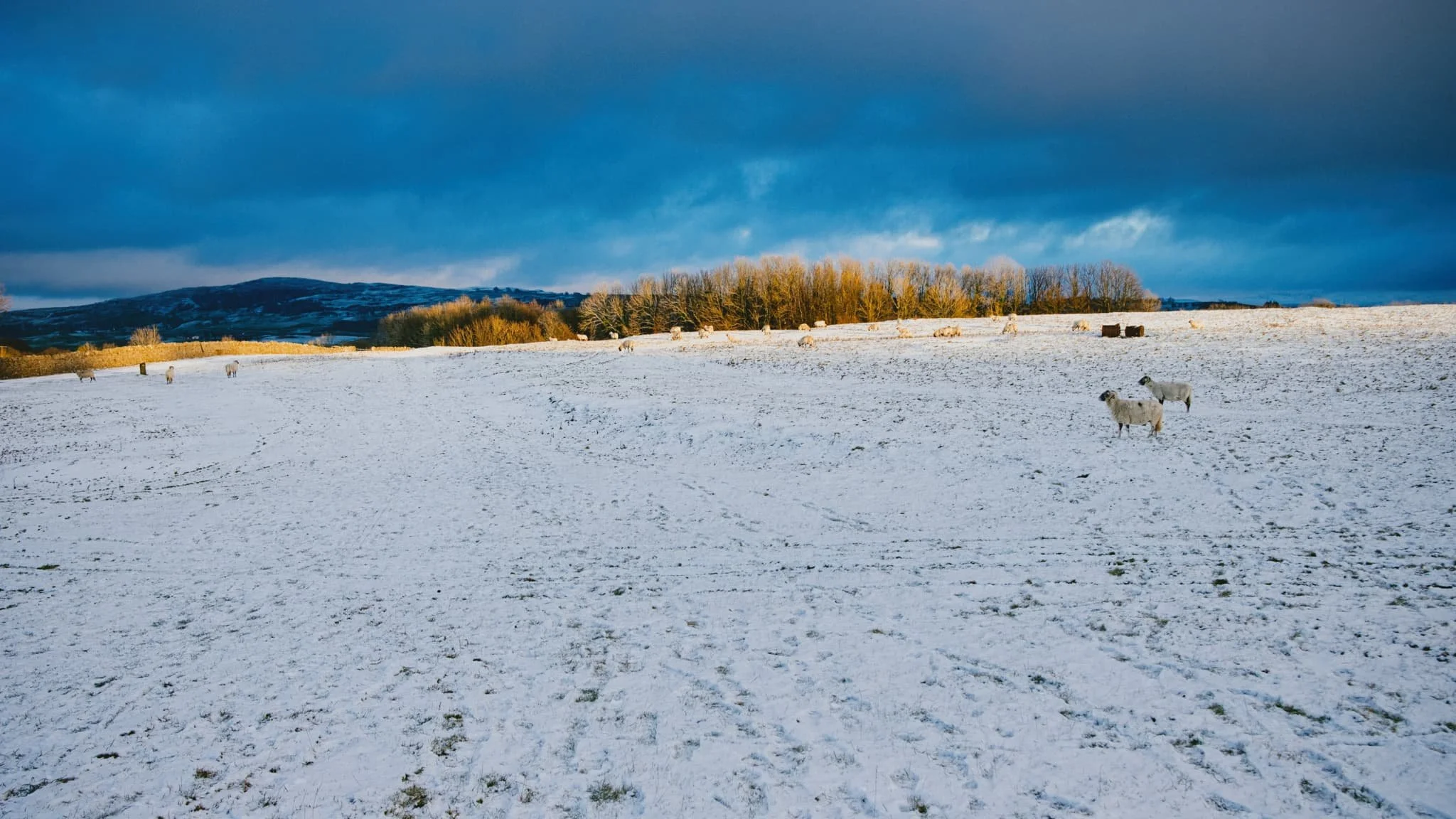  A crackin&rsquo; end to a lovely day. 