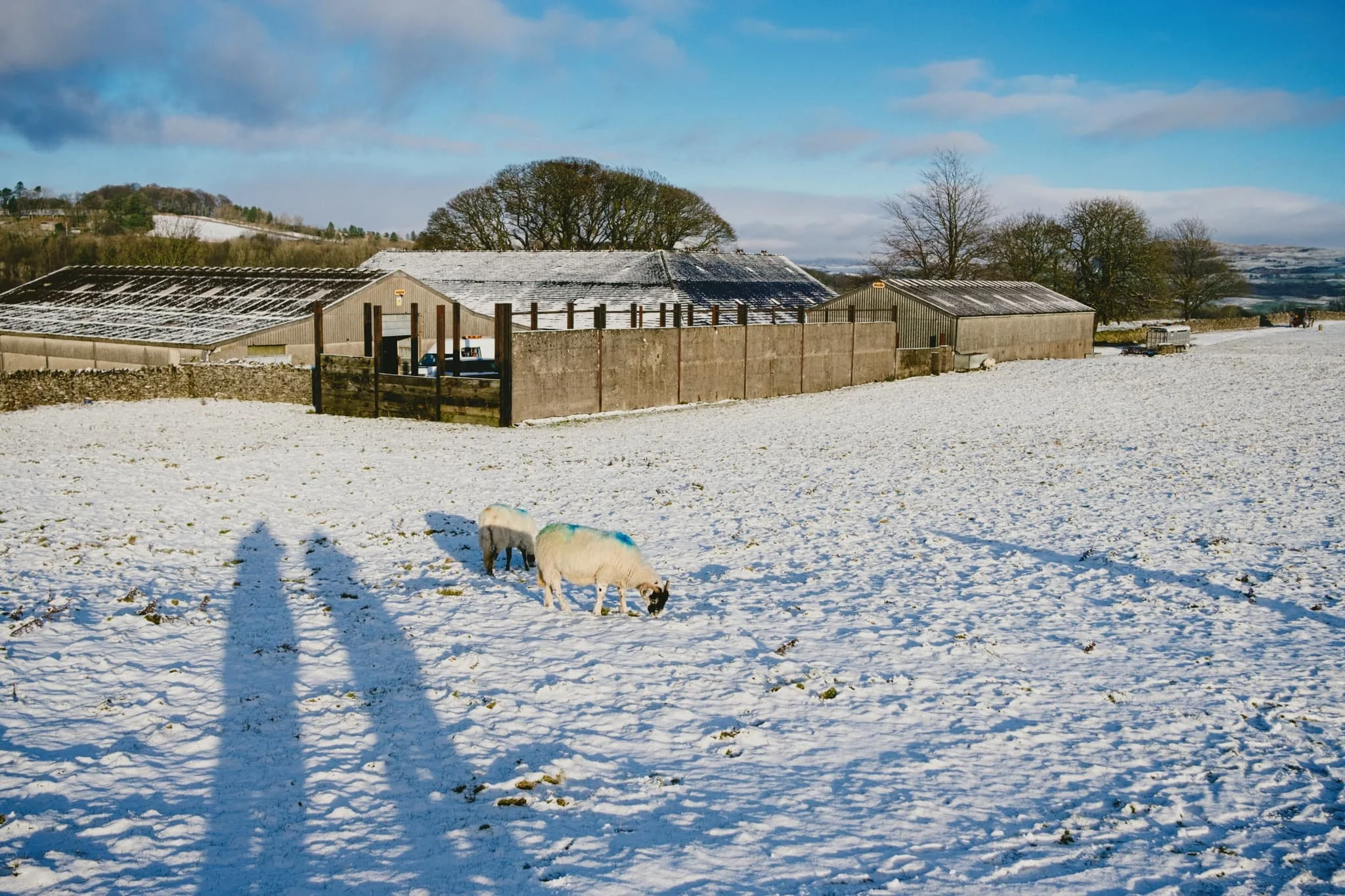  The goal initially was to drive up to, and park at, the main Scout Scar car park. We had to abandon this, though, as the entrance to it was slick with slushy ice and compacted snow. Instead, we navigated up Brigsteer Road and began the hike at the lay-bys behind Scout Scar. Already, the light was looking delicious. 