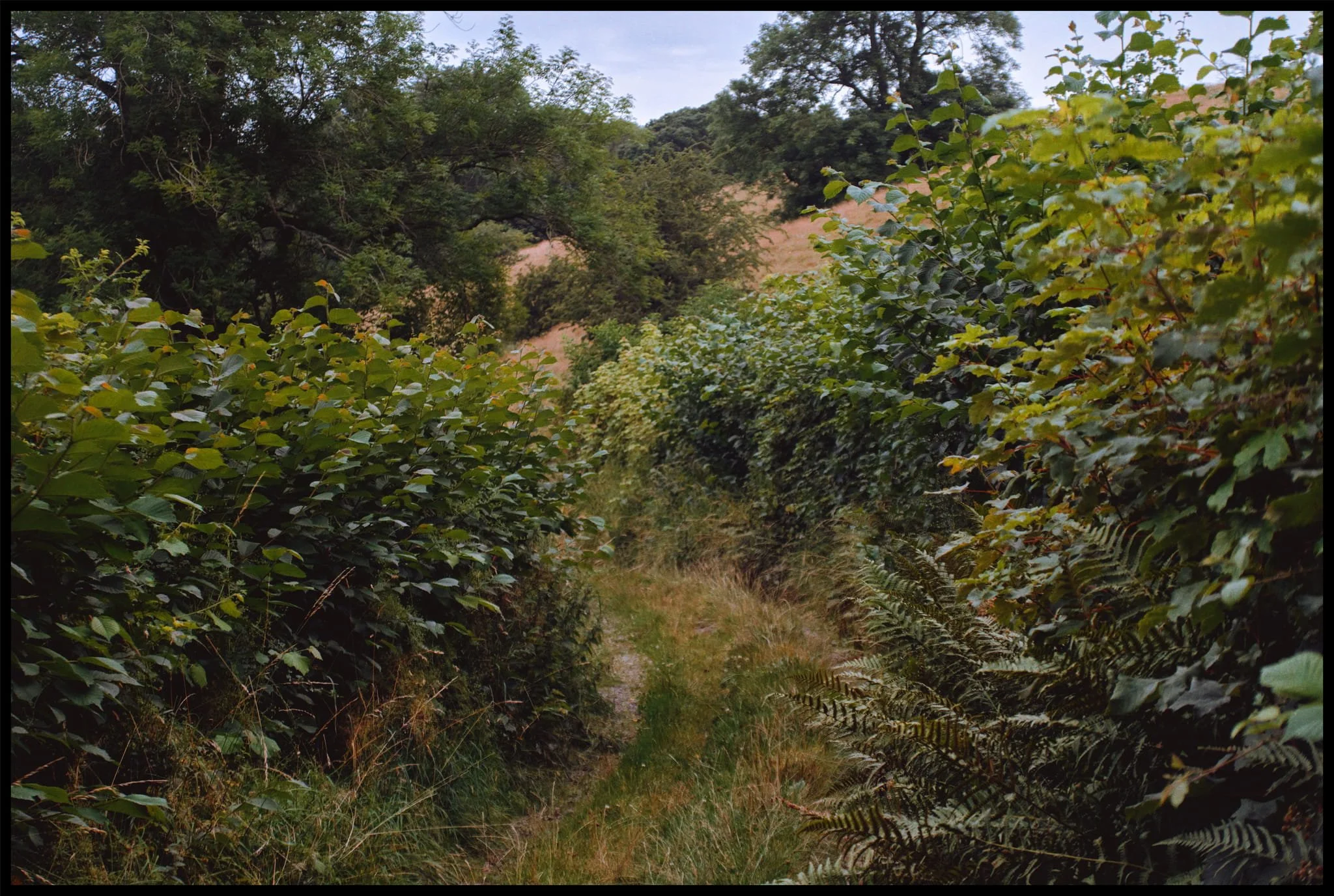  From Underbank we located an ancient  lonnin  (country lane), which heads all the way back to town. You can almost picture a shepherd guiding their flock along the lane. 