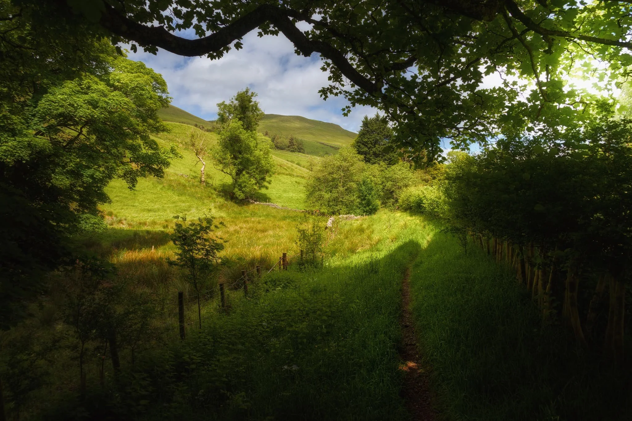  Just before you reach Ghyll Farm the trail narrows into a beautiful little lane, surrounded by hedgerows and old trees. It created a natural frame that I made a composition of. 