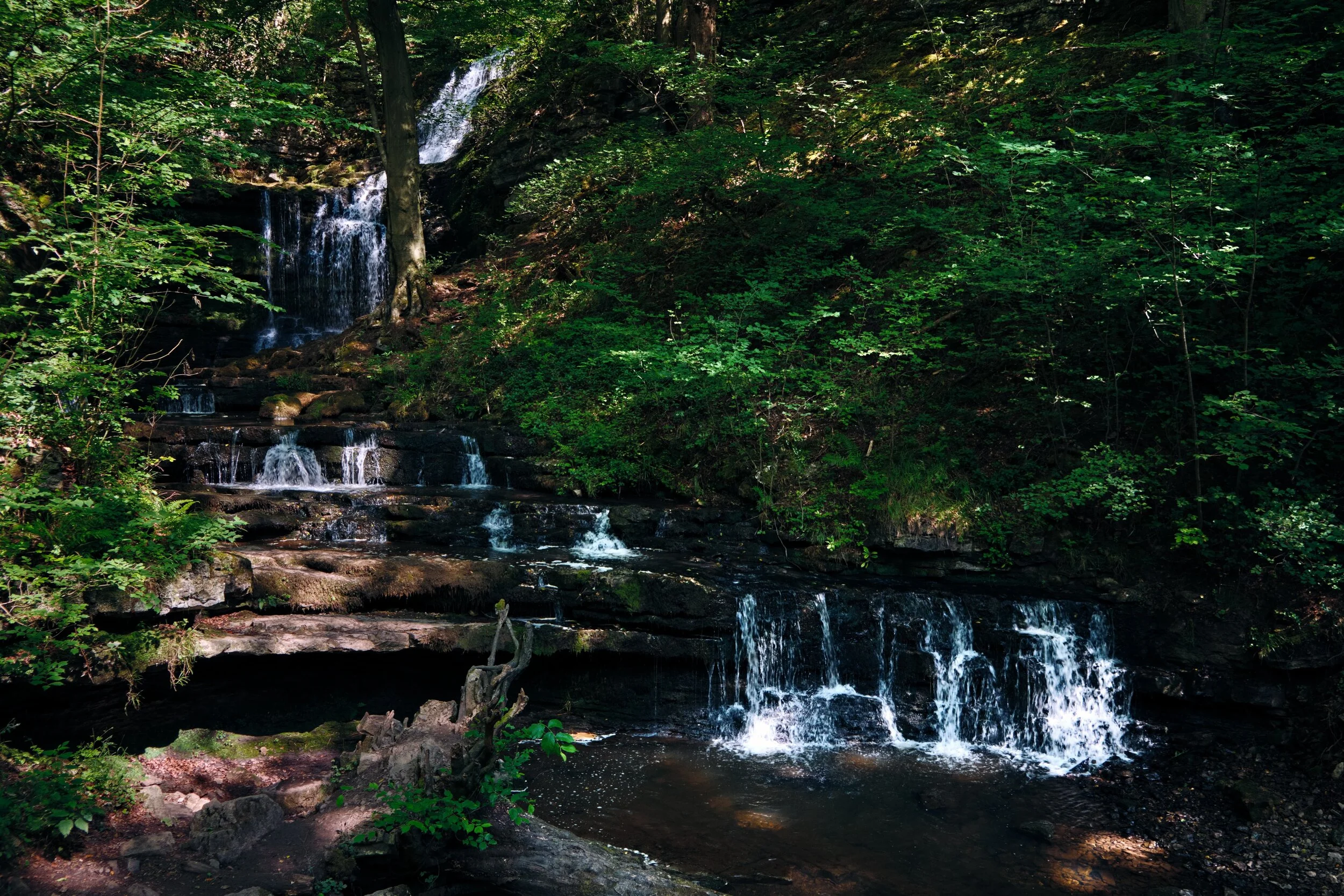 Scaleber Force, our goal. The waterfall drops 40ft down several shelves into a deep ravine. Looking a little dry here, but still pretty nevertheless.