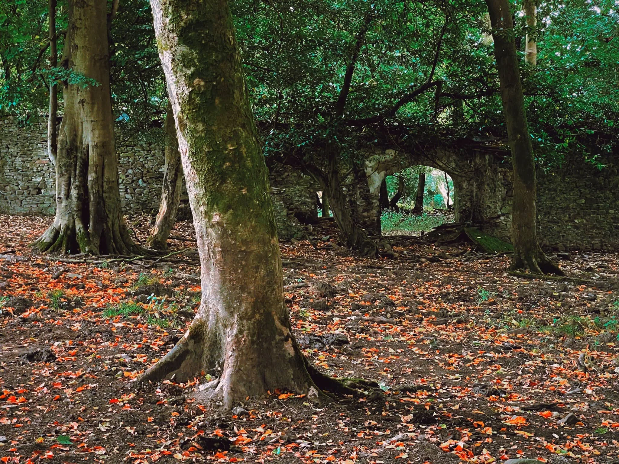  Some kind of chimney nearby indicates that maybe these were some sort of mill, maybe? 