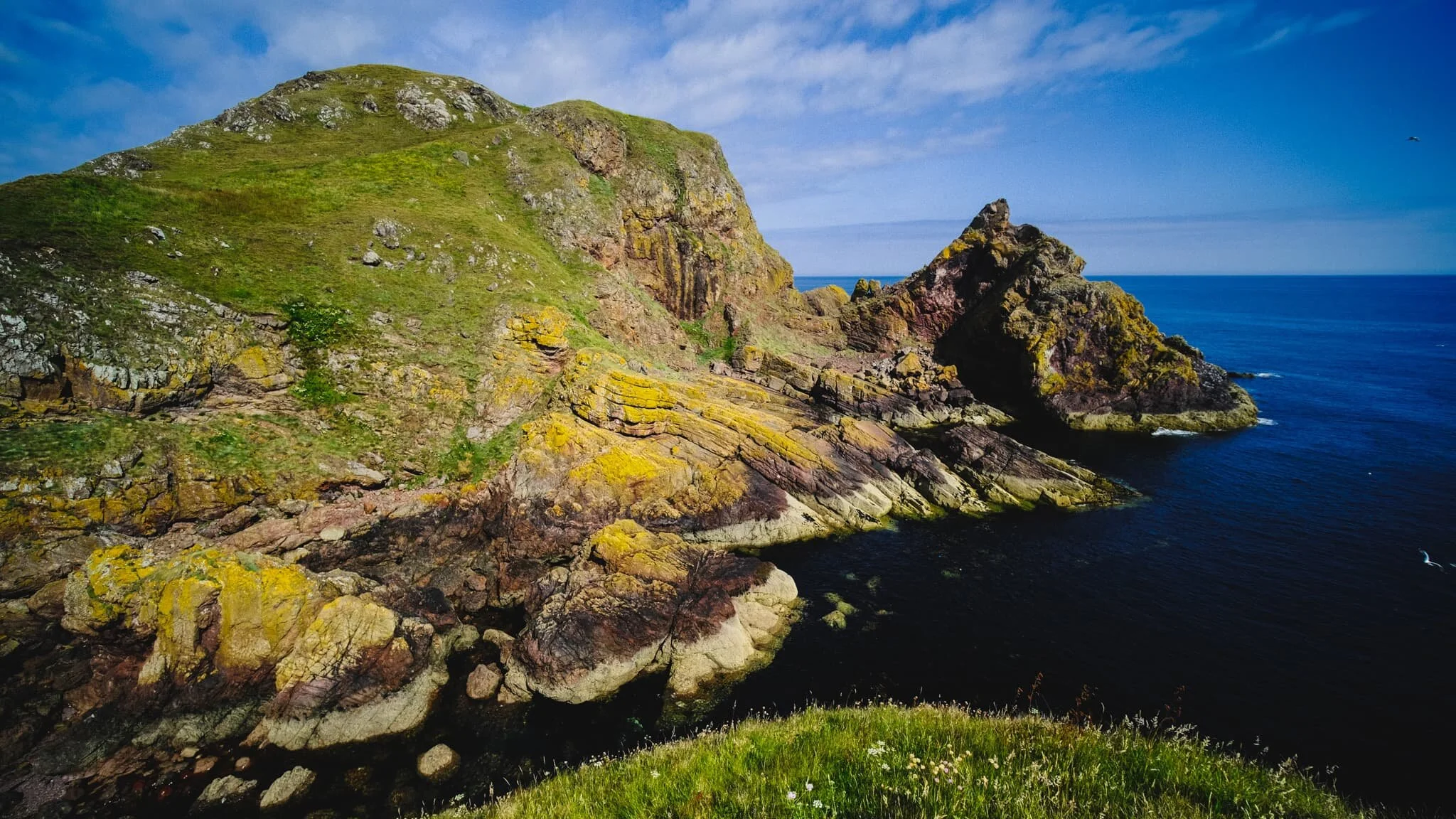  The southeastern cliffs of St. Abb&rsquo;s Head is known as Kirk Hill, and features a variety of geological &ldquo;uncomformities&rdquo;; that is, layers of rock from vastly different ages in history, lying next to each other.  