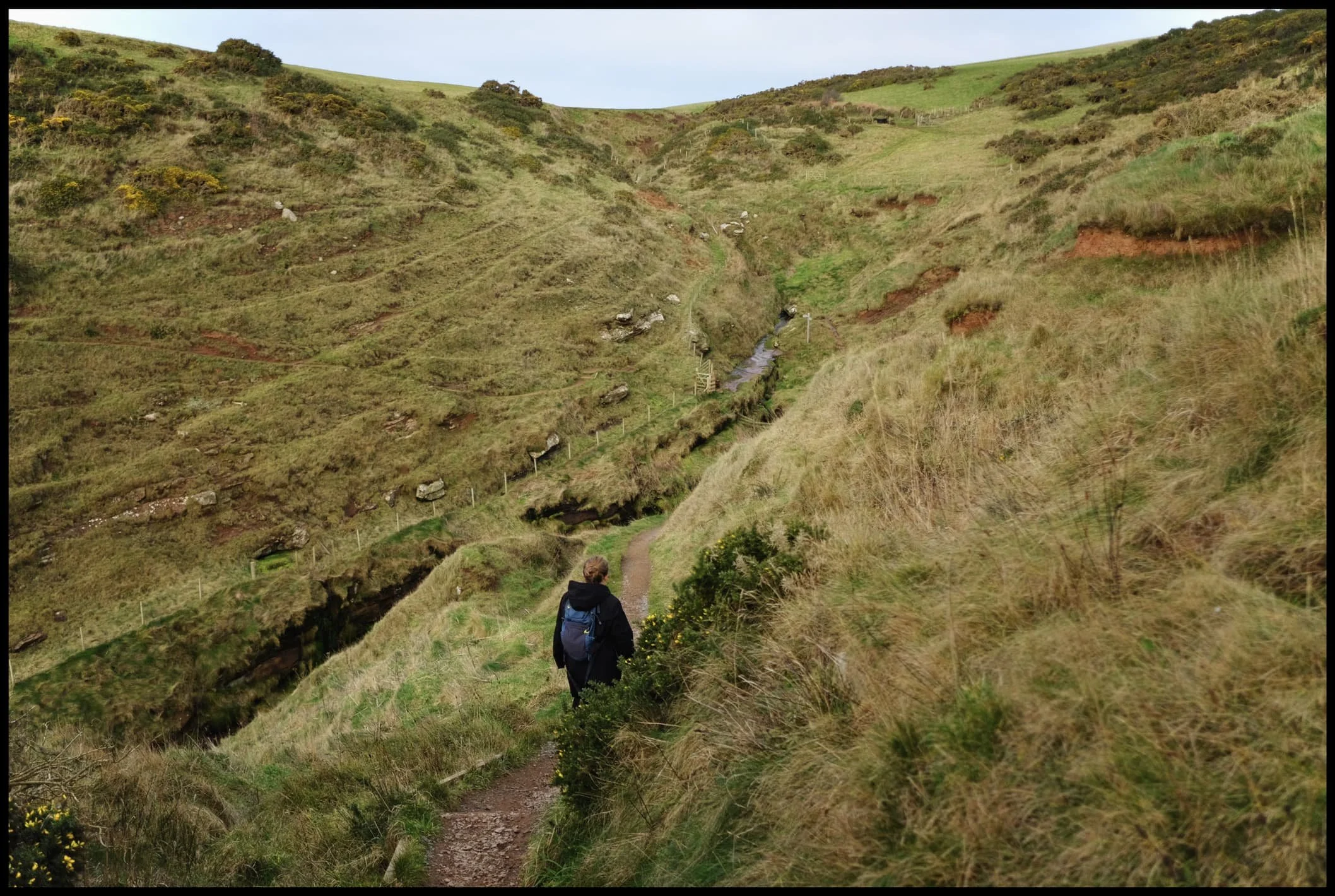  Getting down to Fleswick Bay can be tricky. The path is often muddy, and the deep gill leading out to the bay is lined with moss-covered loose boulders. I did, dear reader, fall on my ass trying to get to the bay. 