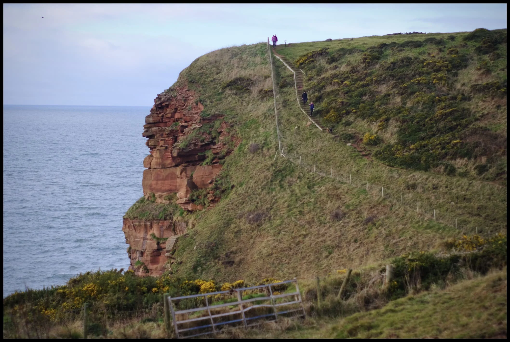  But navigate we did. We were the only ones at Fleswick Bay this whole time. Everyone else seemed more interested in sticking to the cliff path. 