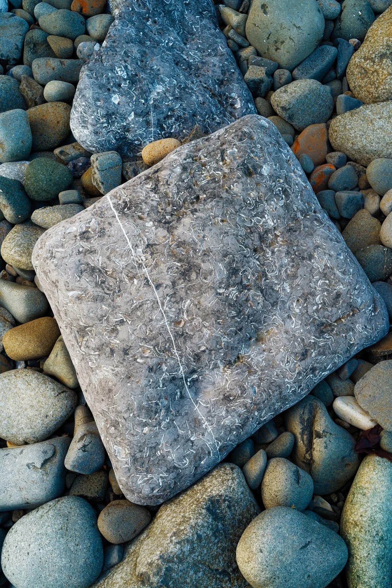  Amongst all the ankle-breaking fist-sized pebbles, this arrangement of stones caught my eye. 