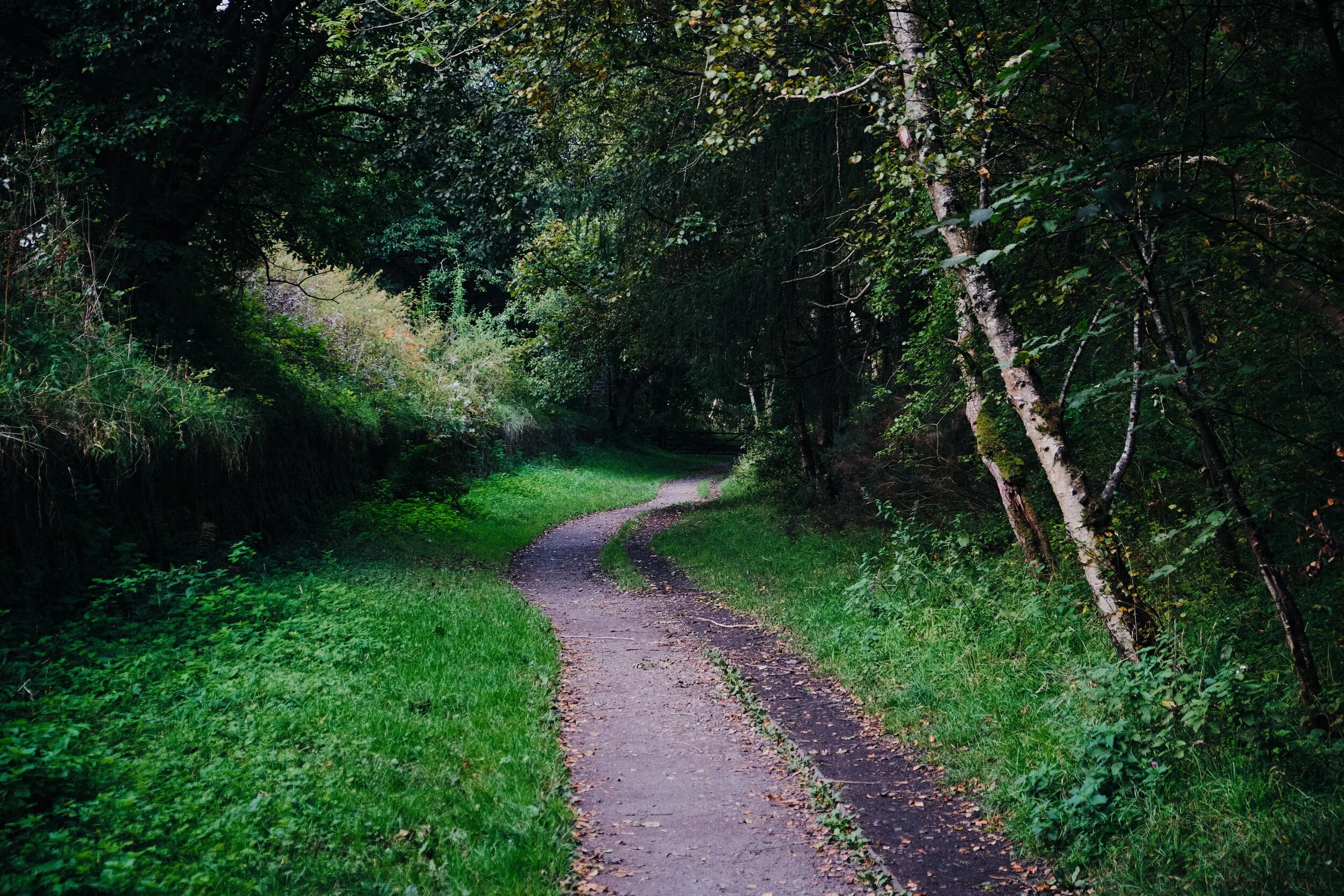 From the bridge we followed the North Viaduct trail east. The trail follows the old South Durham & Lancashire Union Railway, which was setup in the 1850s to transport coke (the fuel kind) to Barrow-in-Furness’ iron furnaces. The railway was dismantled in the 1970s.