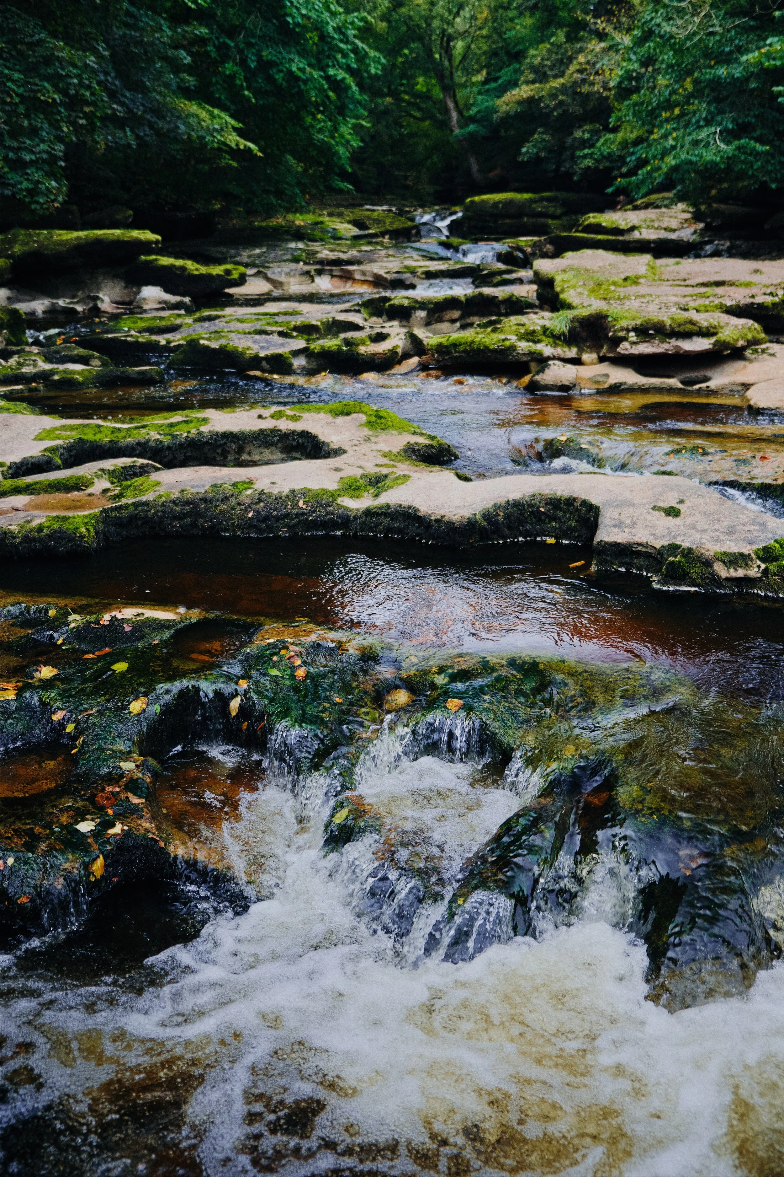 Just south of Coop Kernan Hole the River Eden begins widening out again through a series of beautifully sculpted limestone formations.