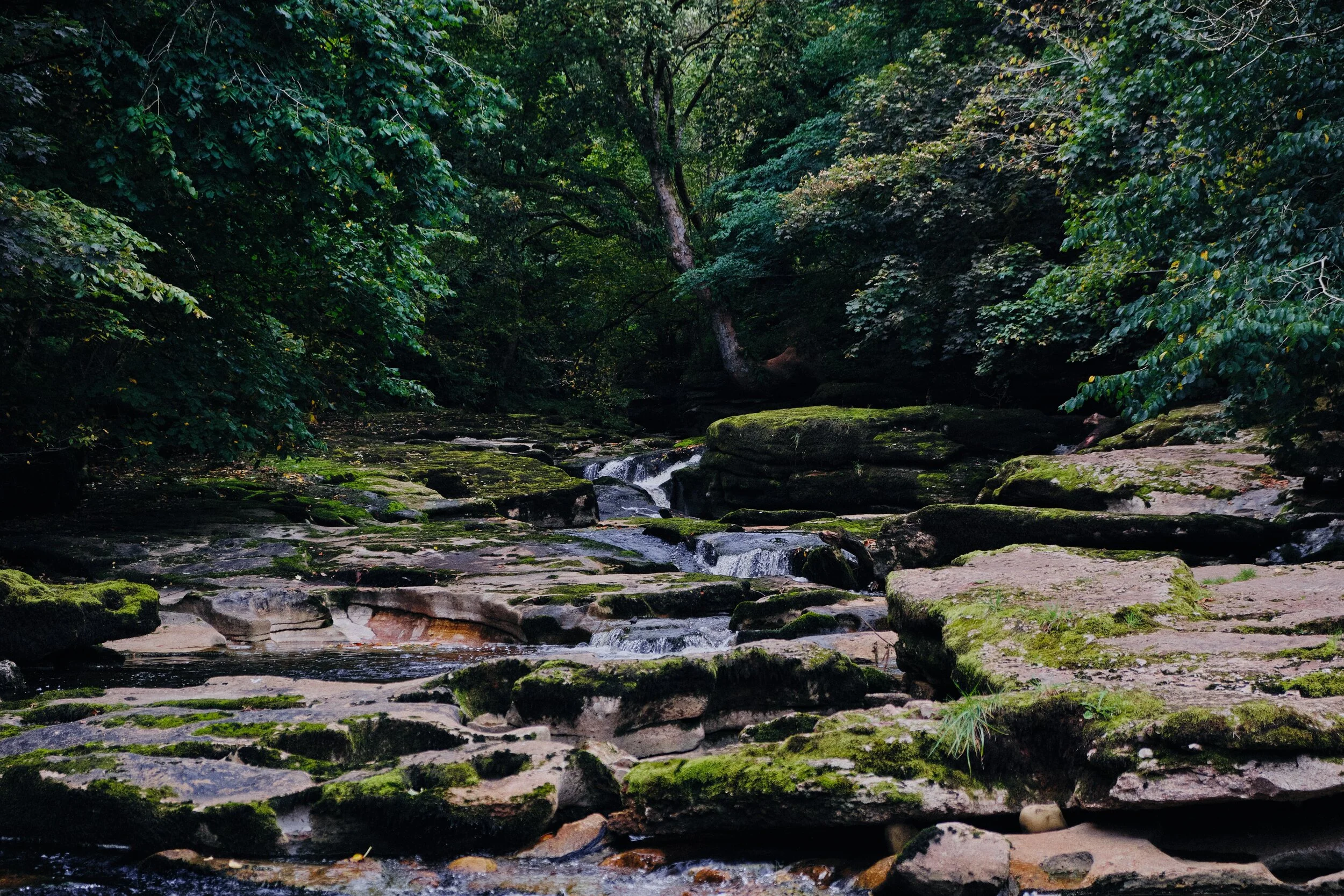 There was some lovely light filtering through.