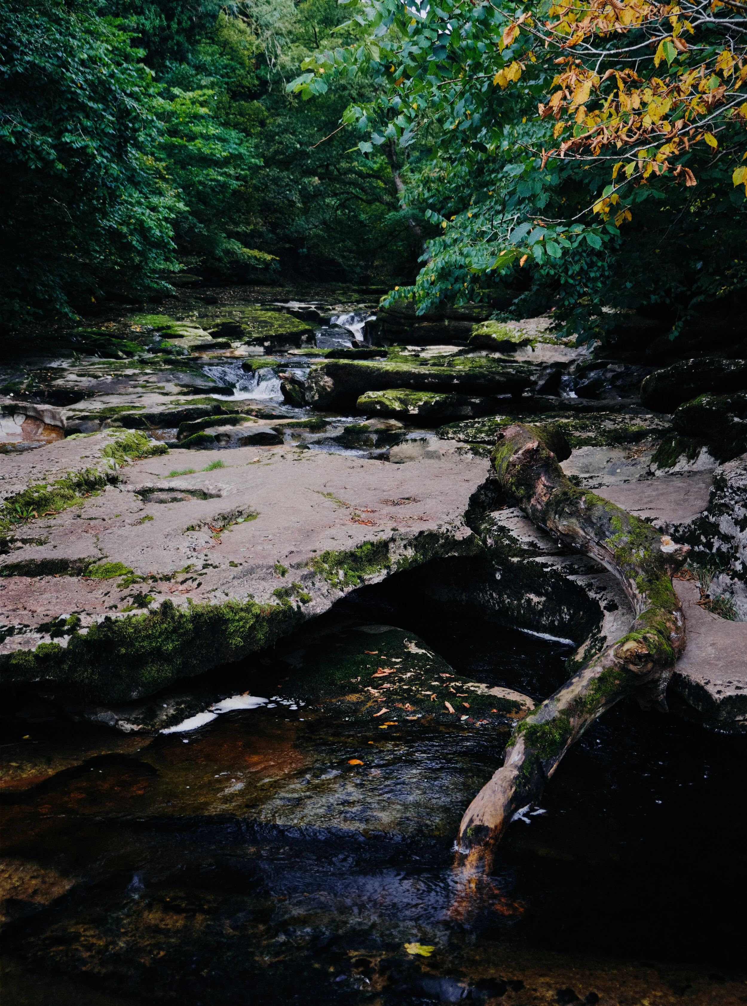 Autumn’s quickly on its way.