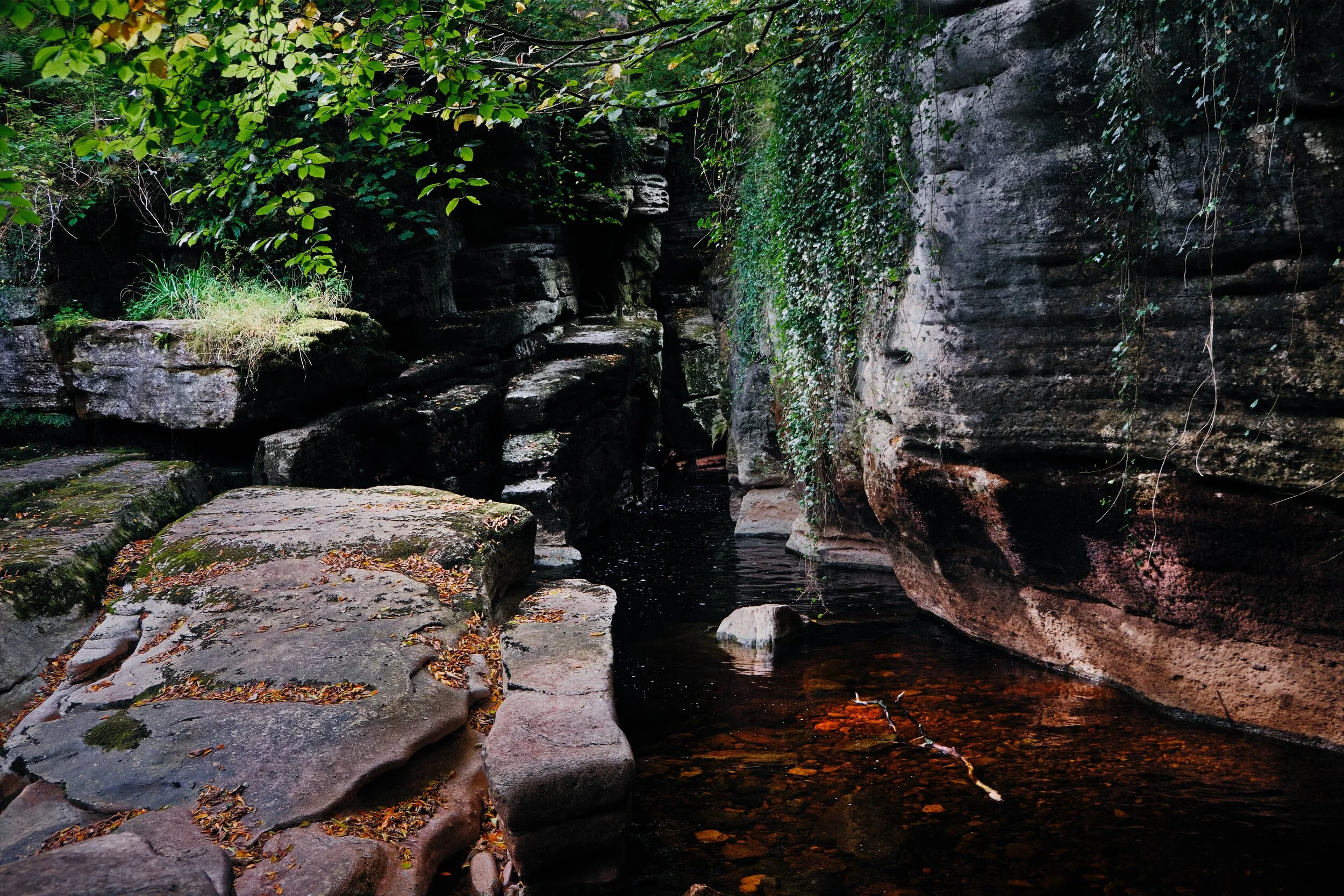 A little bit of sun managed to break through the canopy, picking out some of the features of this fascinating gorge and its structures.