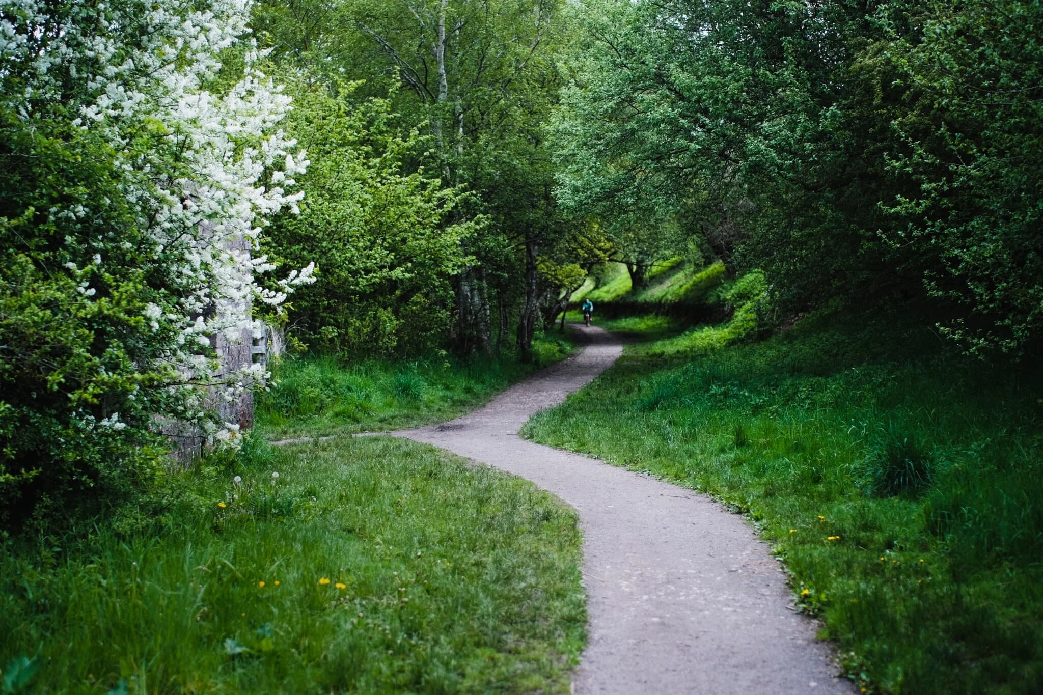 Around here, it’s easy to tell that this trail was once a railway line.