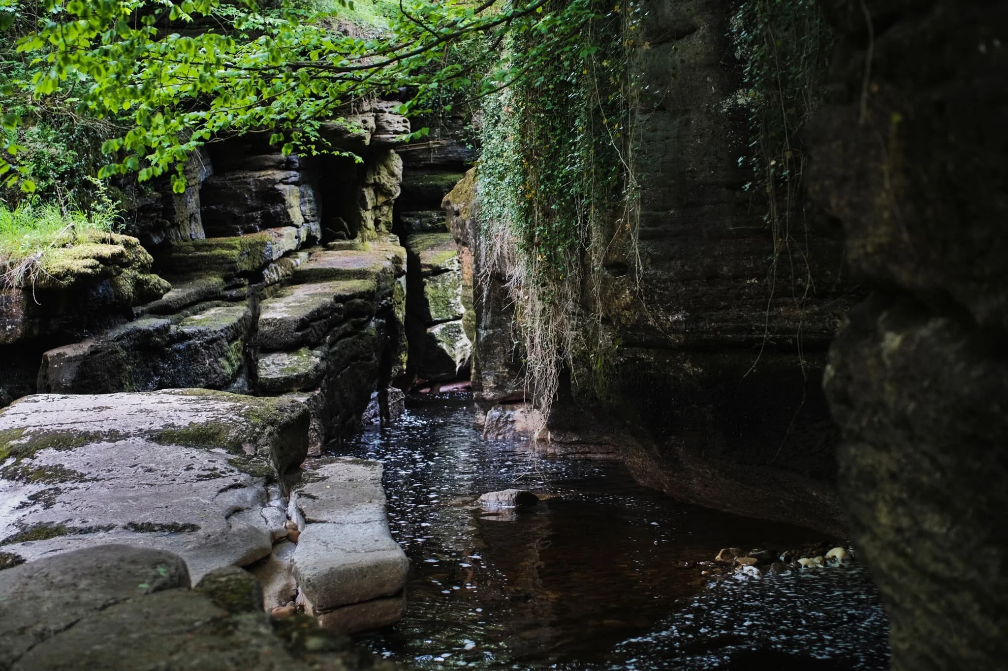 On this day, this was close as we could get to the Devil’s Grinding Mill, the main drop of the River Eden. Nevertheless, it was lovely to shoot the soft light and textures in the gorge.