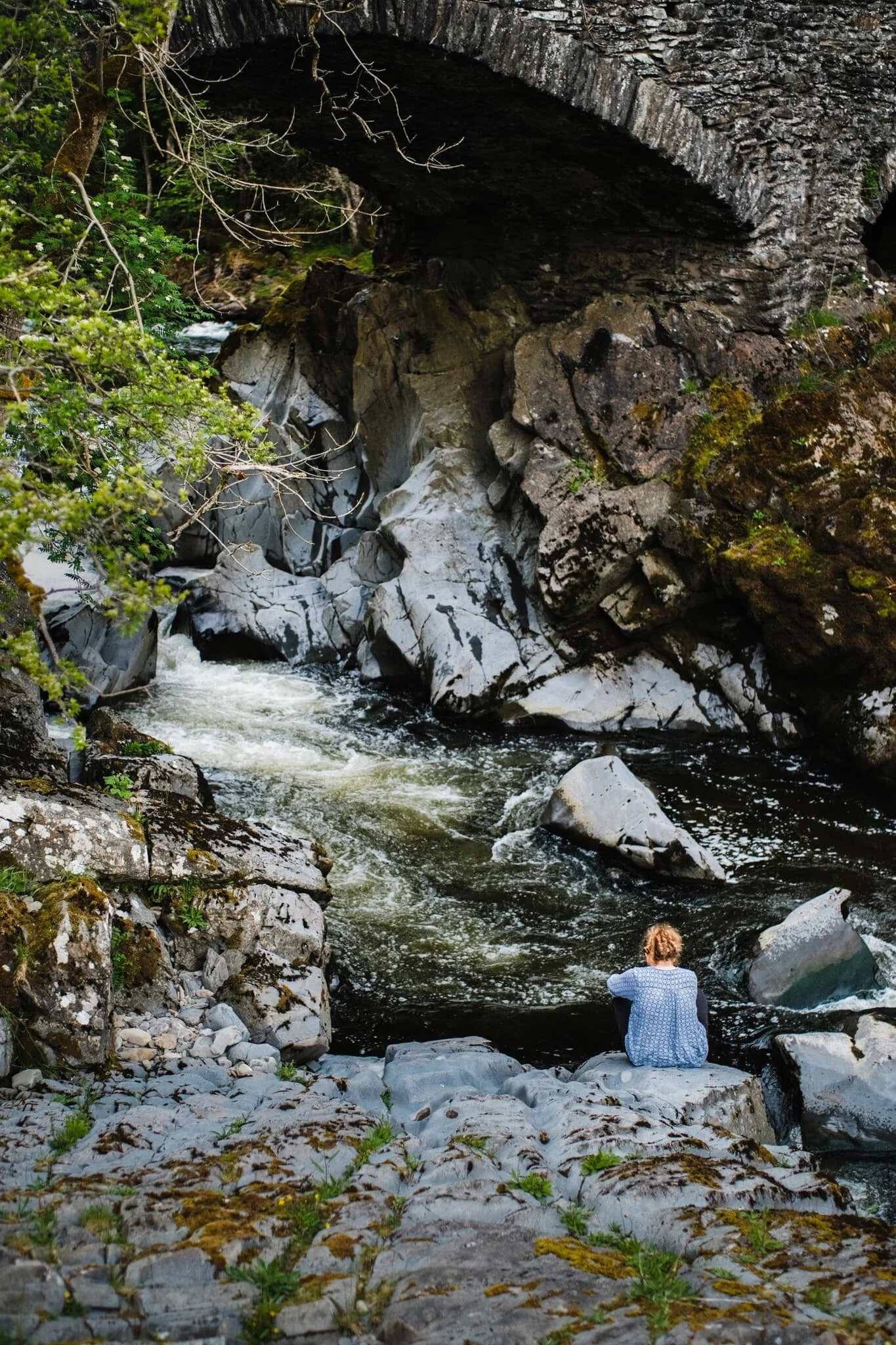 My lovely Lisabet doing what she does best: getting close to the action.
