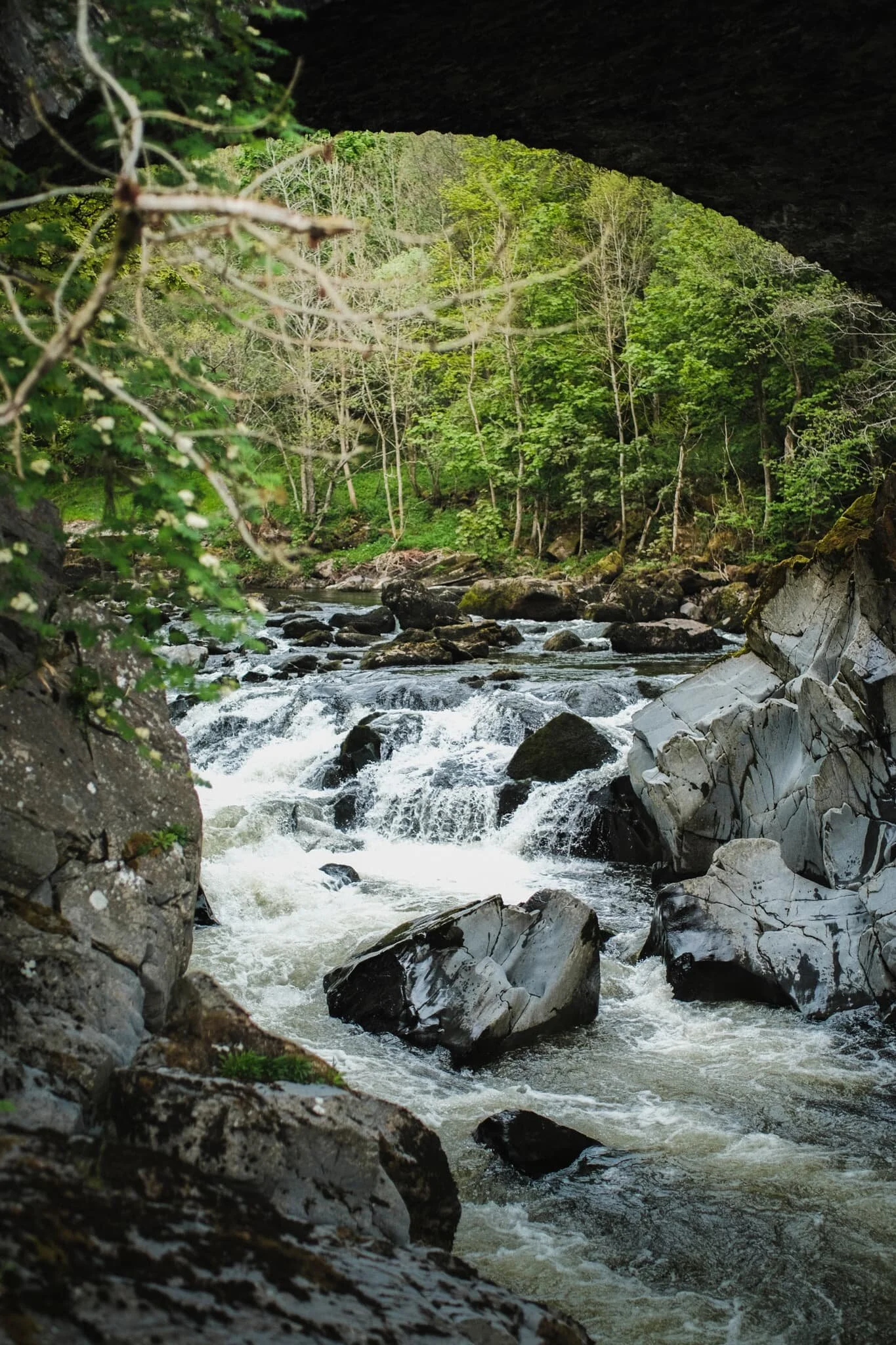 My turn for a view underneath the bridge.