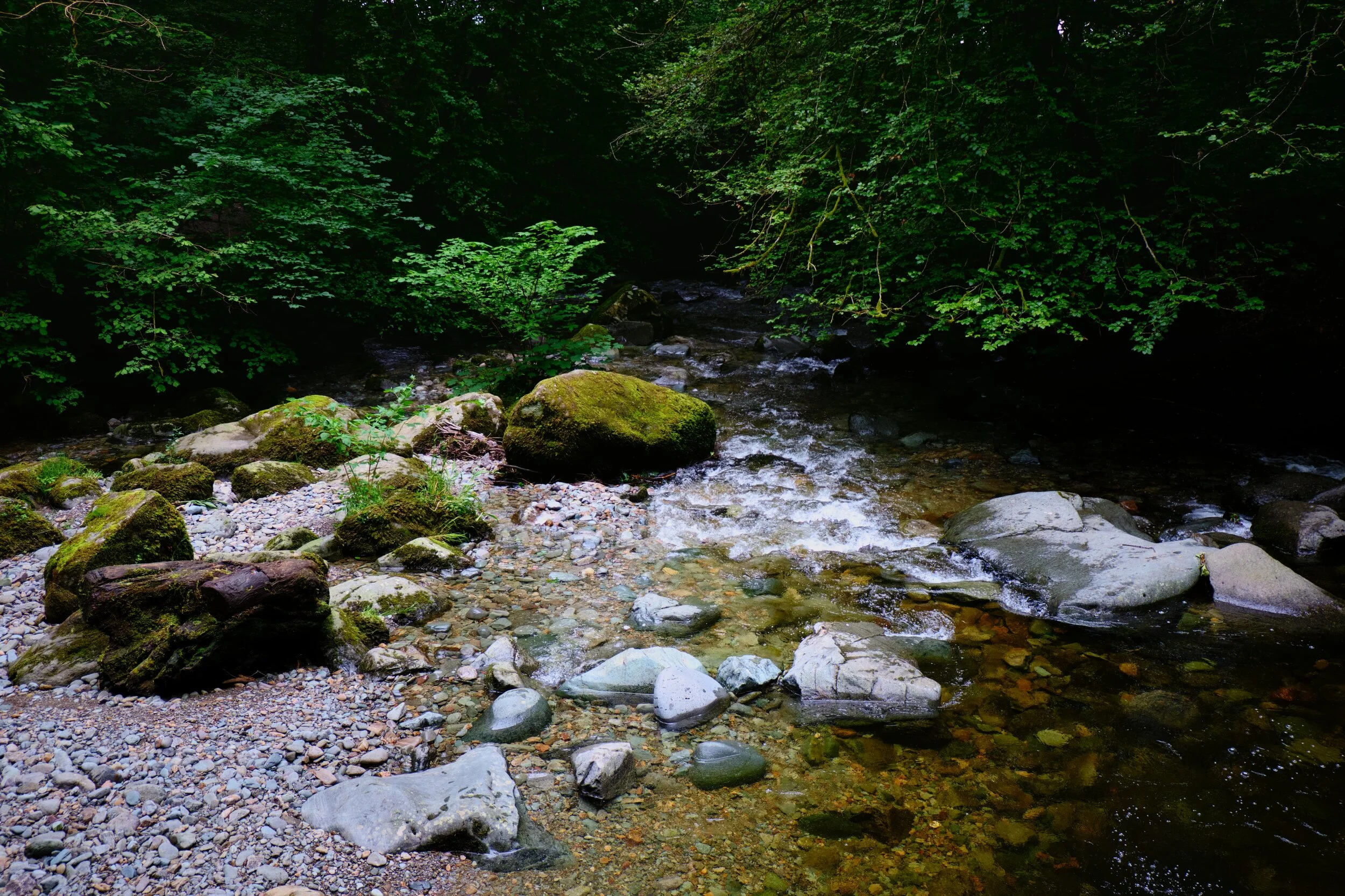 The day was wonderfully overcast, lending some beautiful pockets of highlighting at various points in the ravine of Stock Ghyll Force.