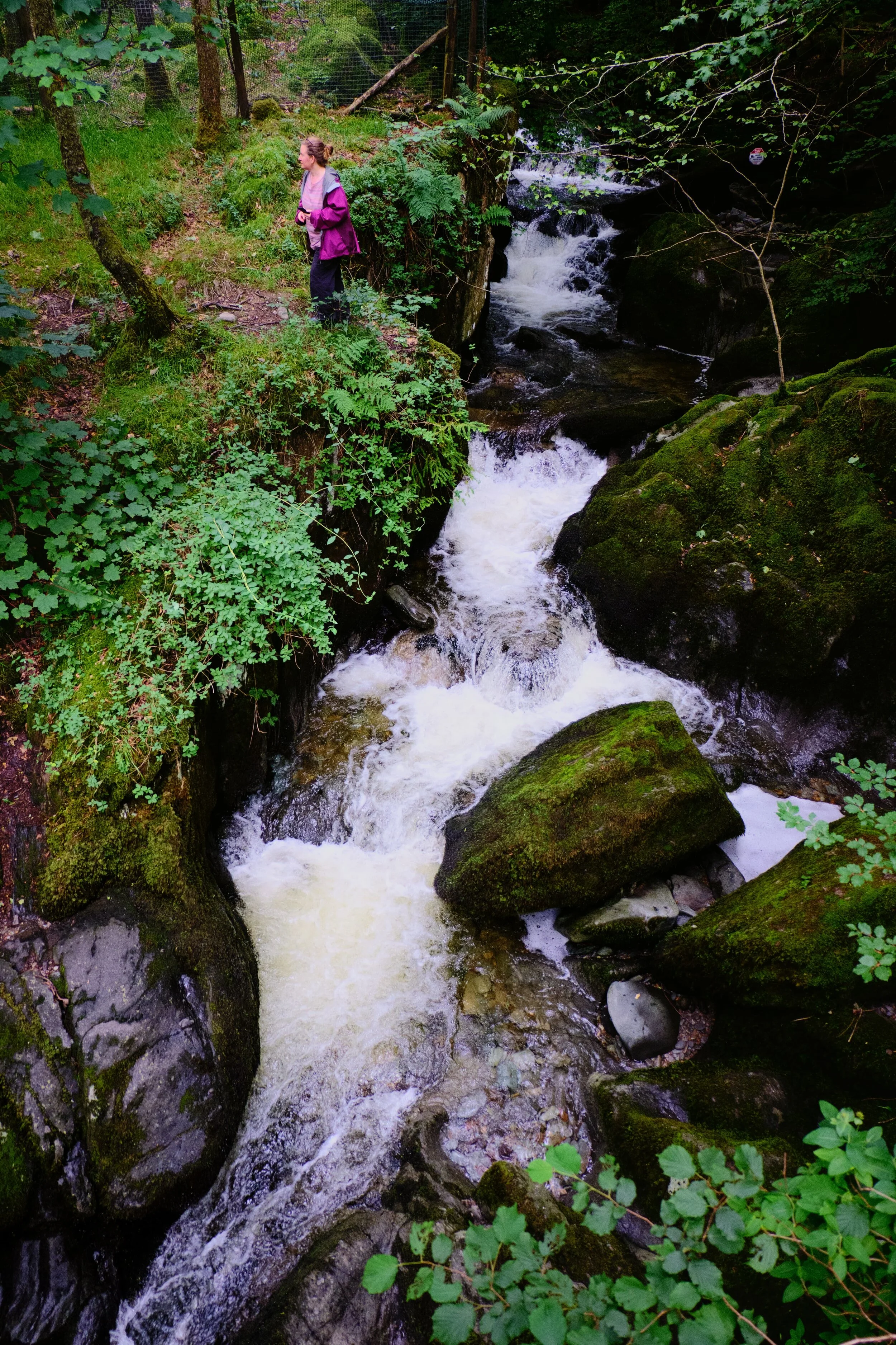 Just above the falls Stock Ghyll cuts a deep groove before dropping 70ft as Stock Ghyll Force. My lovely Lisabet providing a sense of scale here.