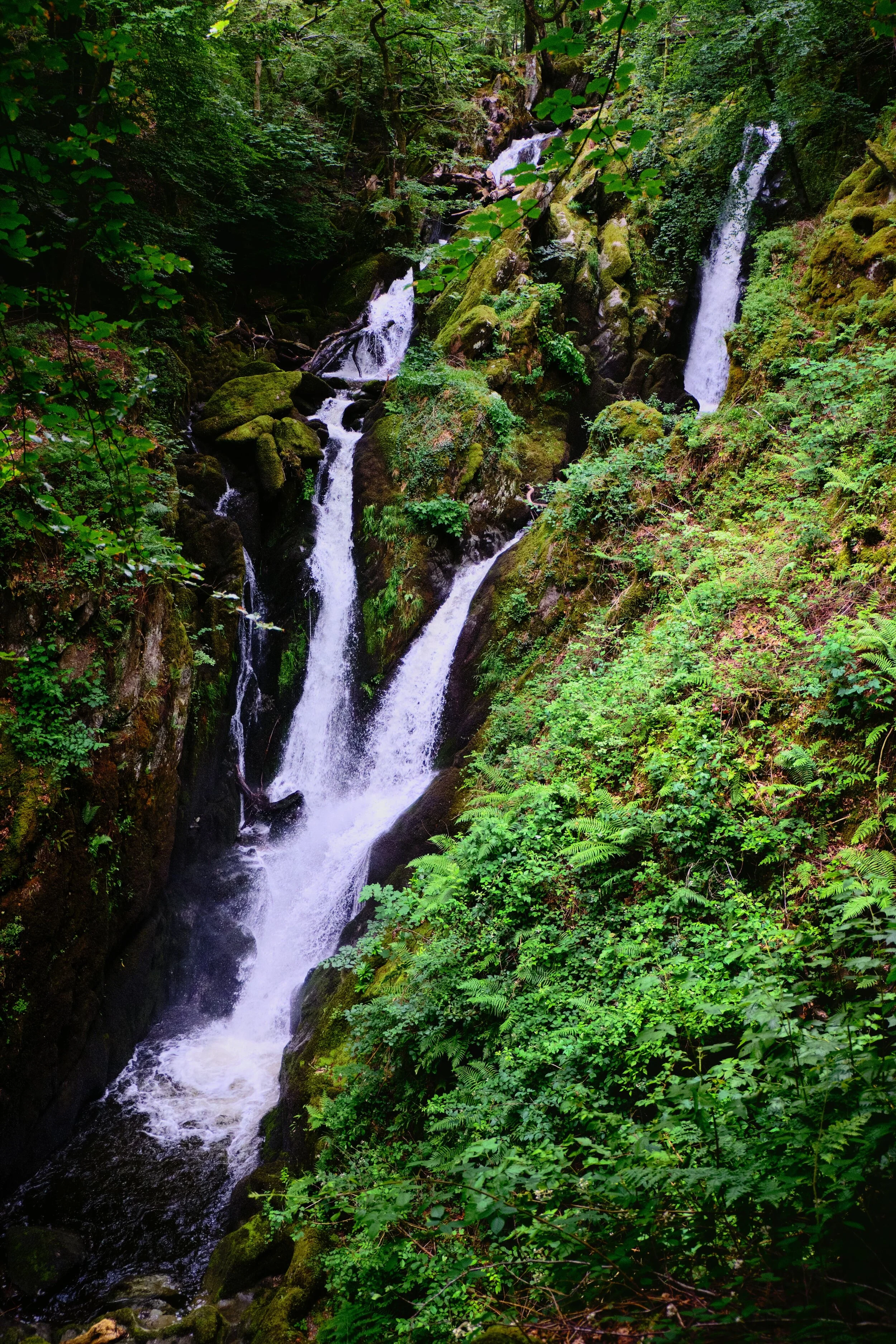 One of the more popular and accessible views of Stock Ghyll Force. It’s classical profile is in view here, showing two falls becoming one, but after enough rain there’s usually a 3rd waterfall to the left. You can just make out its trickle here.