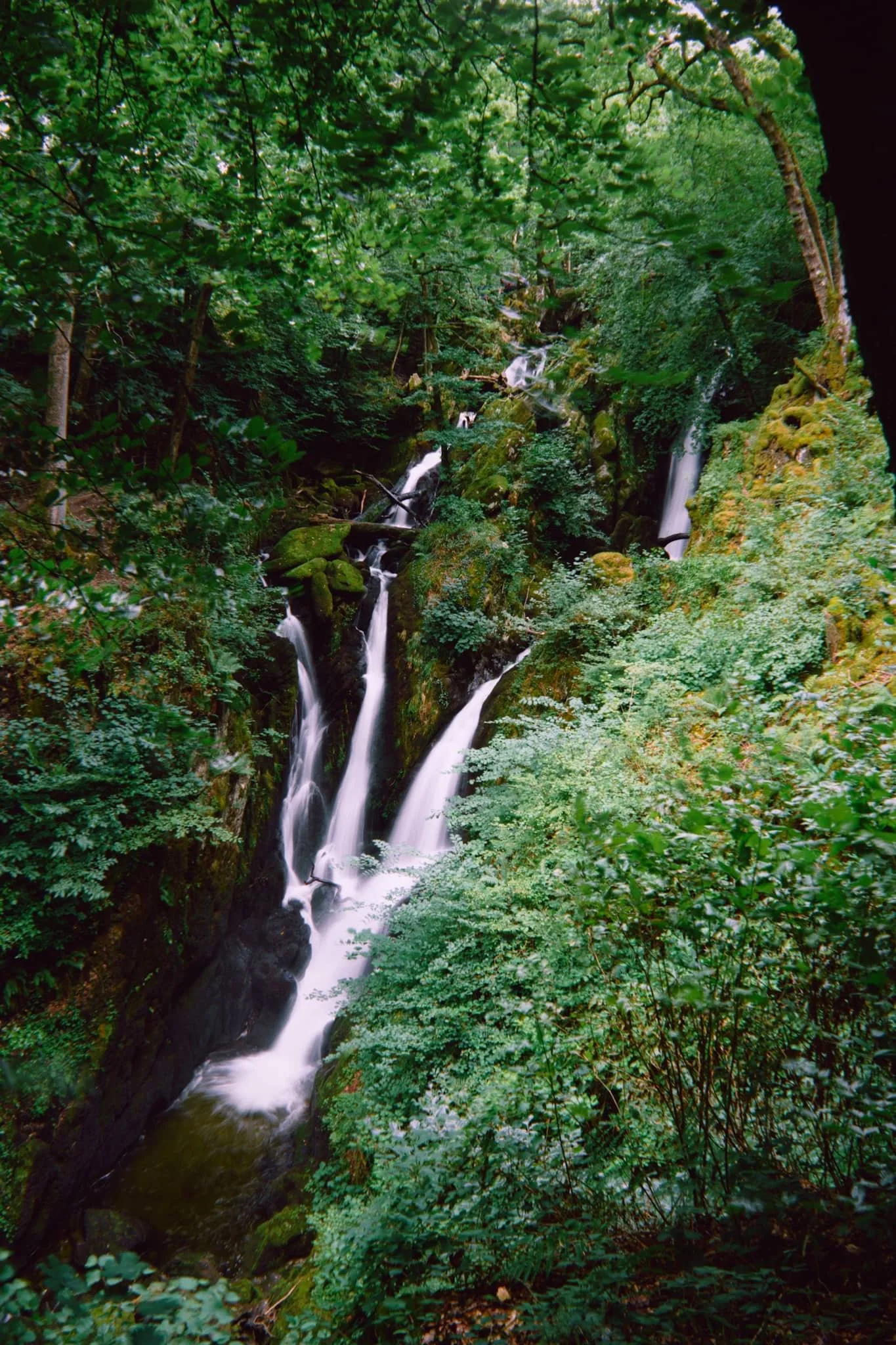  Heading back down the other side of the trail, the classic view of Stockghyll Force emerges and I cannot resist. 