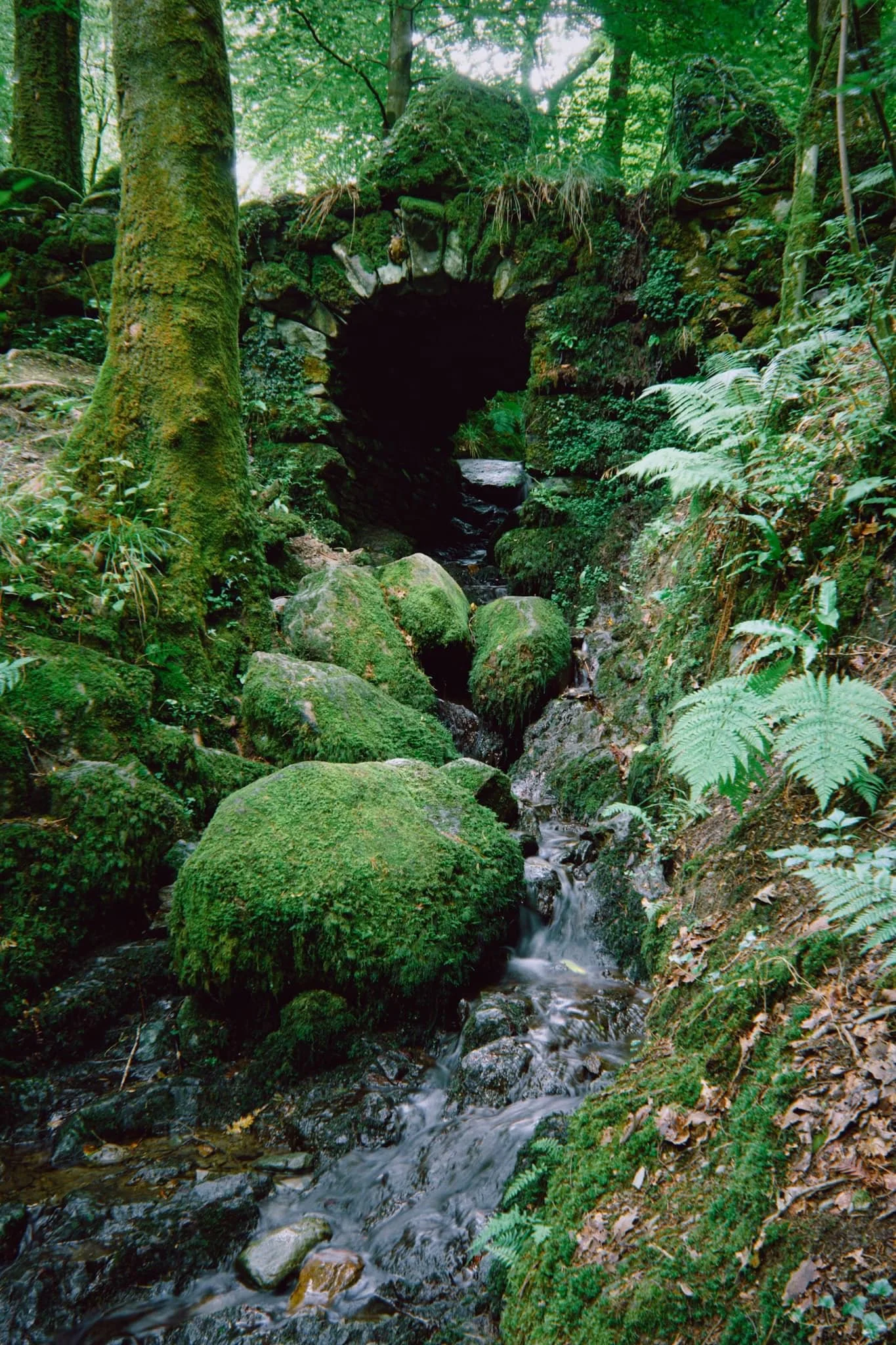  Further into the woods, a small beck flows underneath this delightful little bridge. 