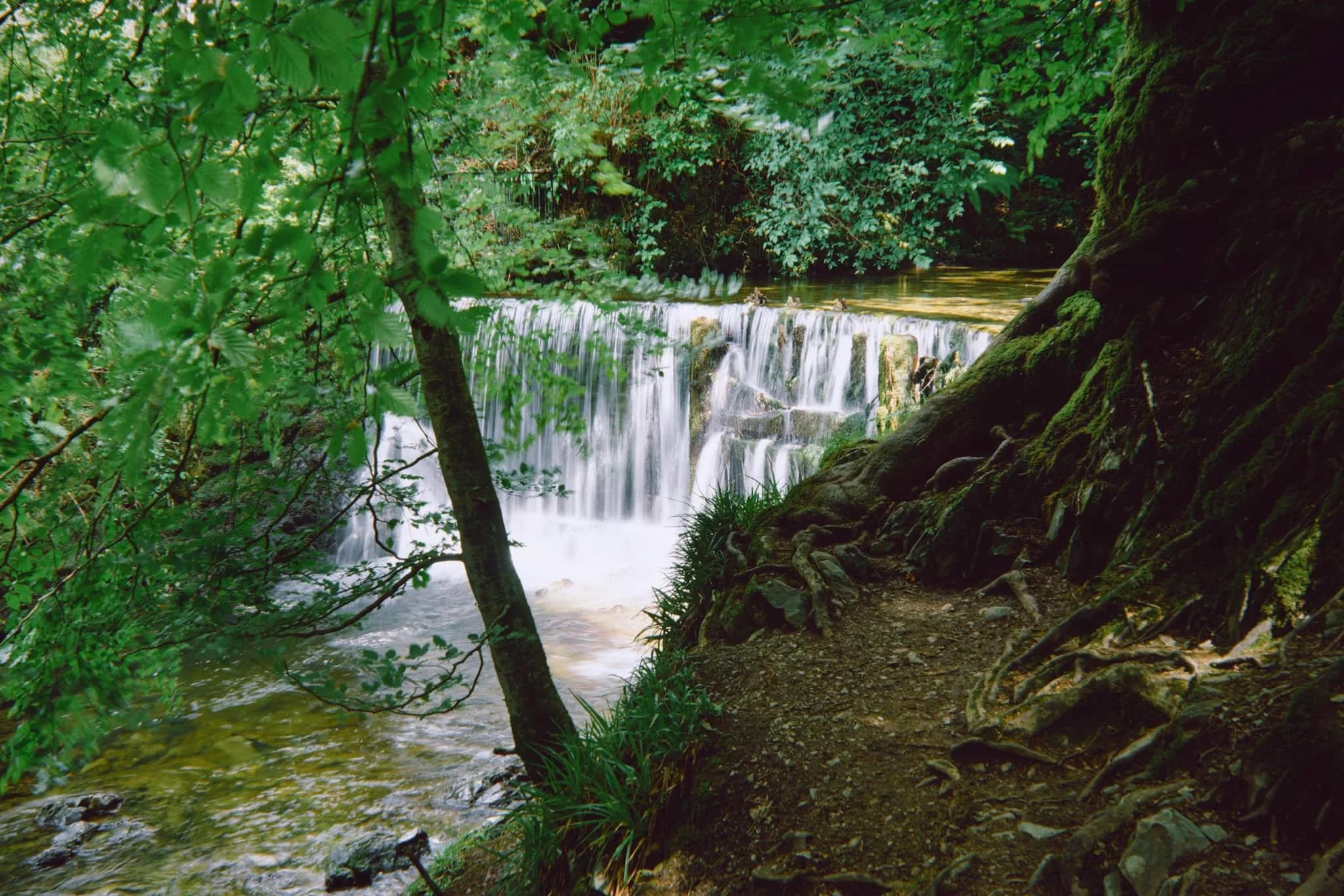 Rni Films Img 8Fd7F5Dc Ce56 4E3C 8Cc5 Ea1A70Fd9A83 Compressed