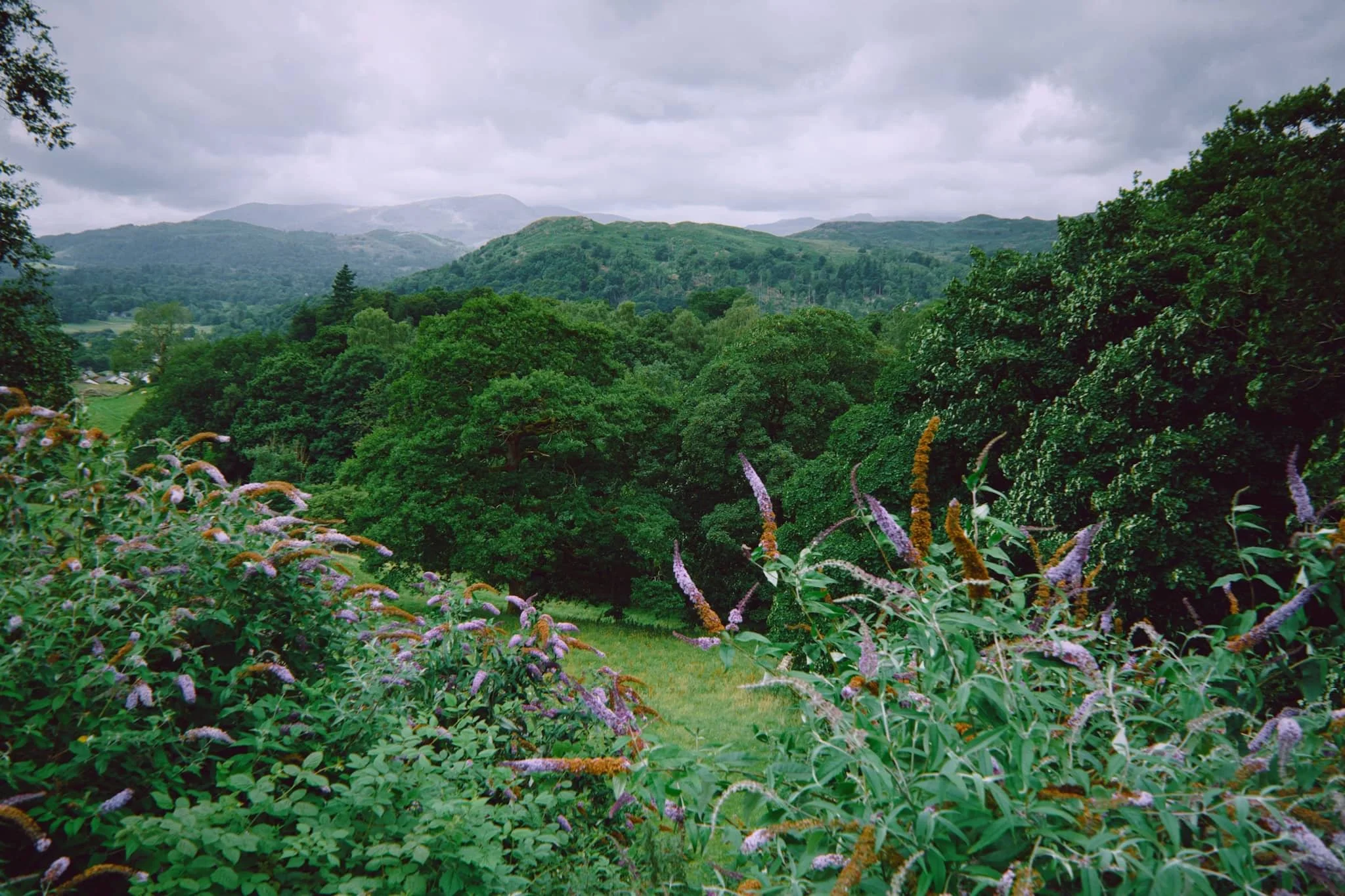 Rni Films Img A2B14Edd 0Dab 4D0C 8169 A1Fa5465Dbcf Compressed