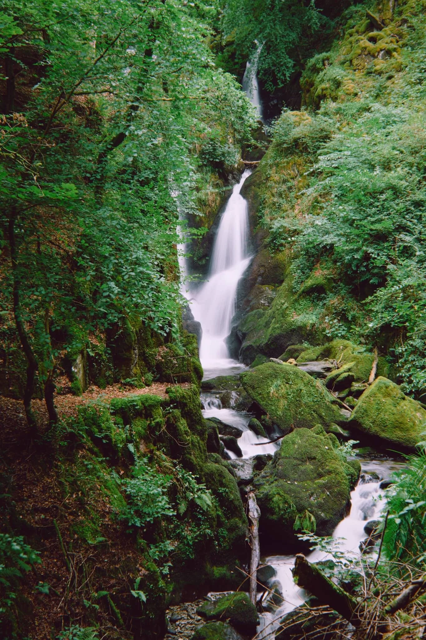  However, just a little further down the trail, I think the best view of Stockghyll Force can be obtained. 