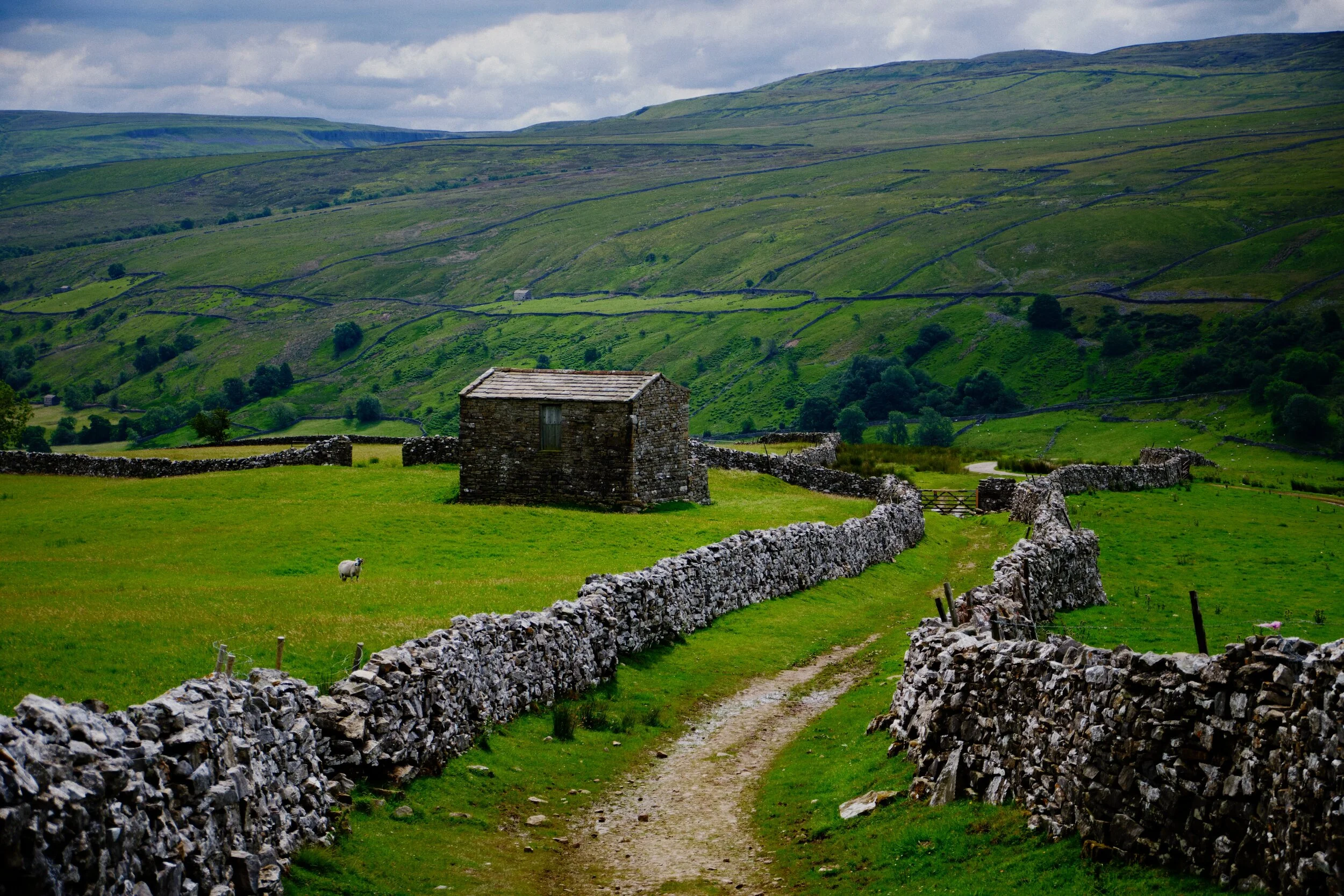 One thing you’ll note about Swaledale: there are lots of barns dotted about the valley, far more than any other dale in the Yorkshire Dales.