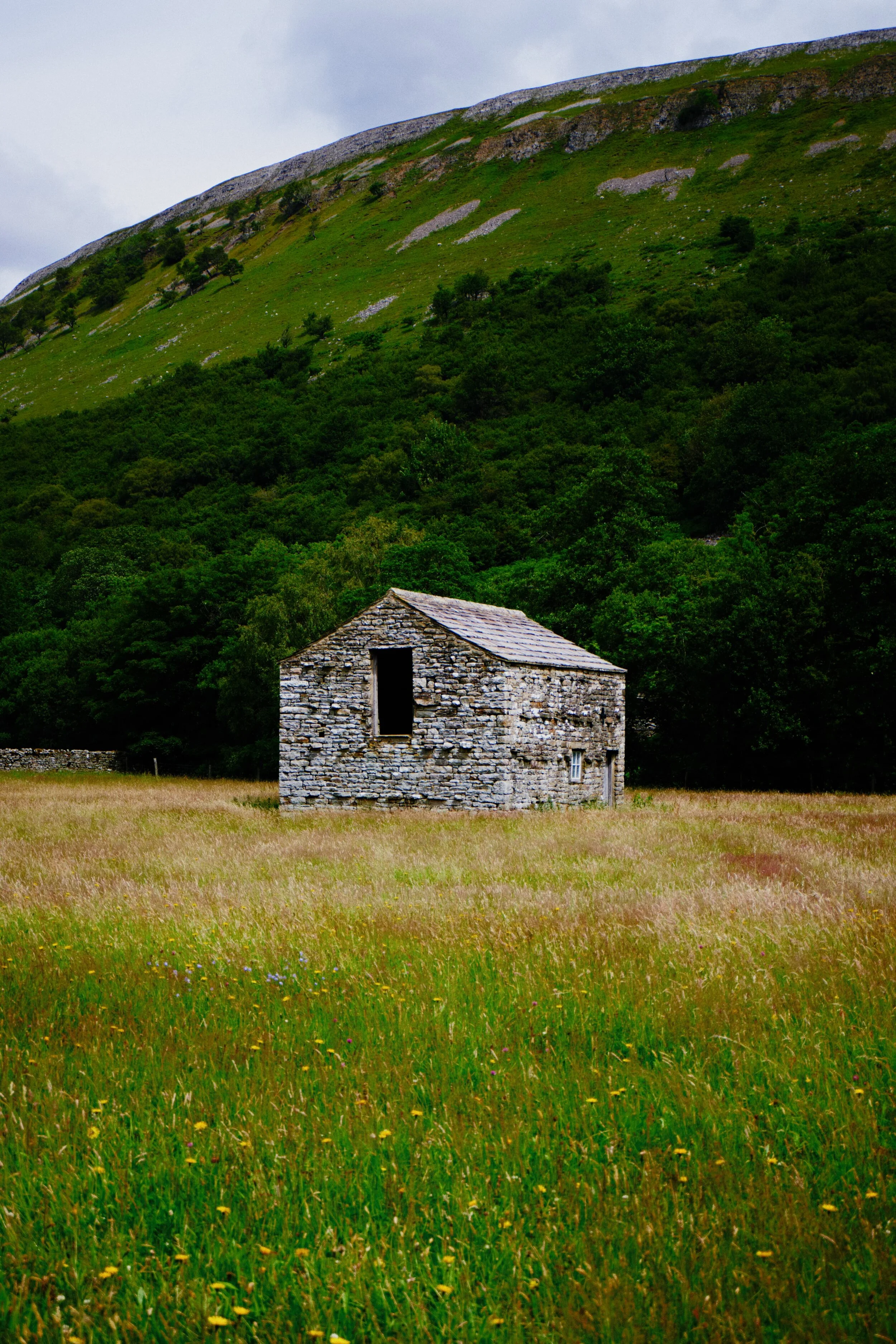 Amongst other things, Swaledale is known for its explosion of wildflowers in the valley bottom meadows near Muker.