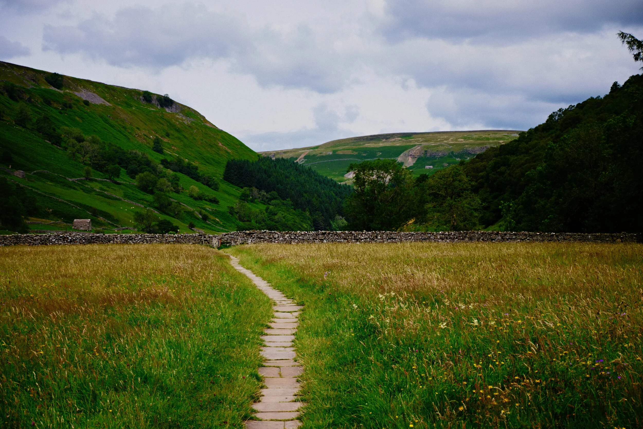 I can’t tell if we were perhaps two weeks too early or too late to see the peak of wildflowers blooming in Swaledale. Still gorgeous regardless.
