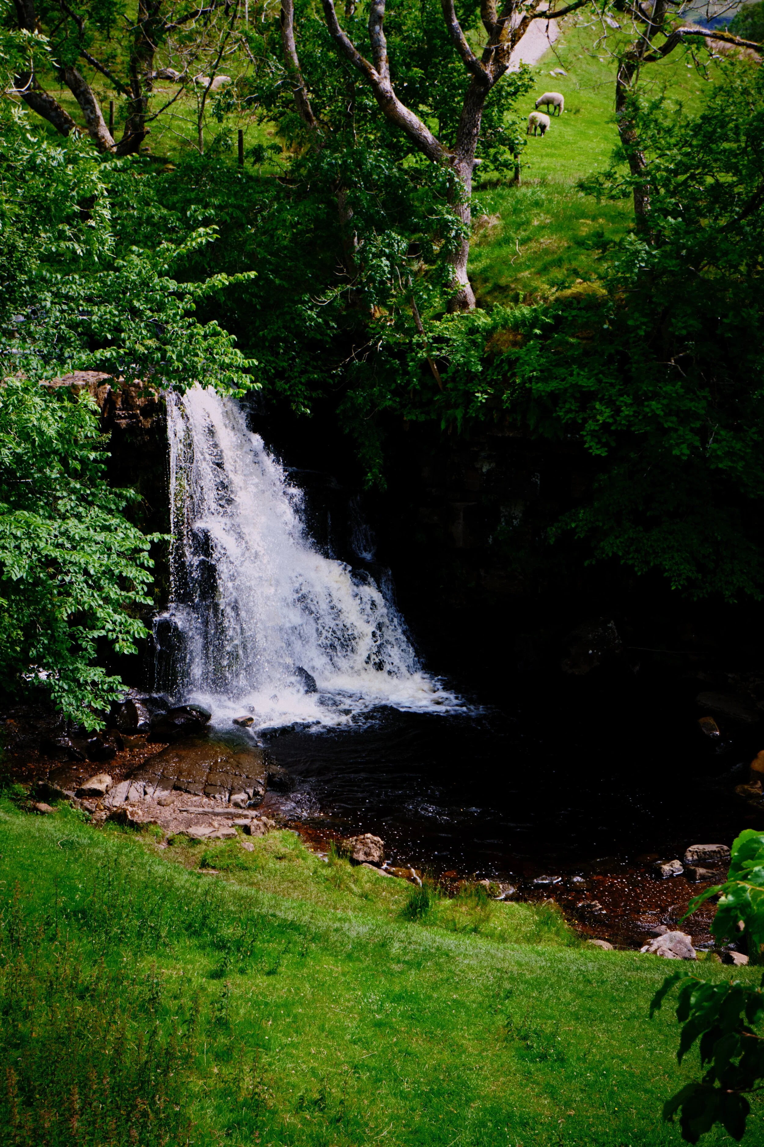 To get back to Keld the path takes you steeply down the fellside towards the river. Along the way you pass Catrake Force, pictured.