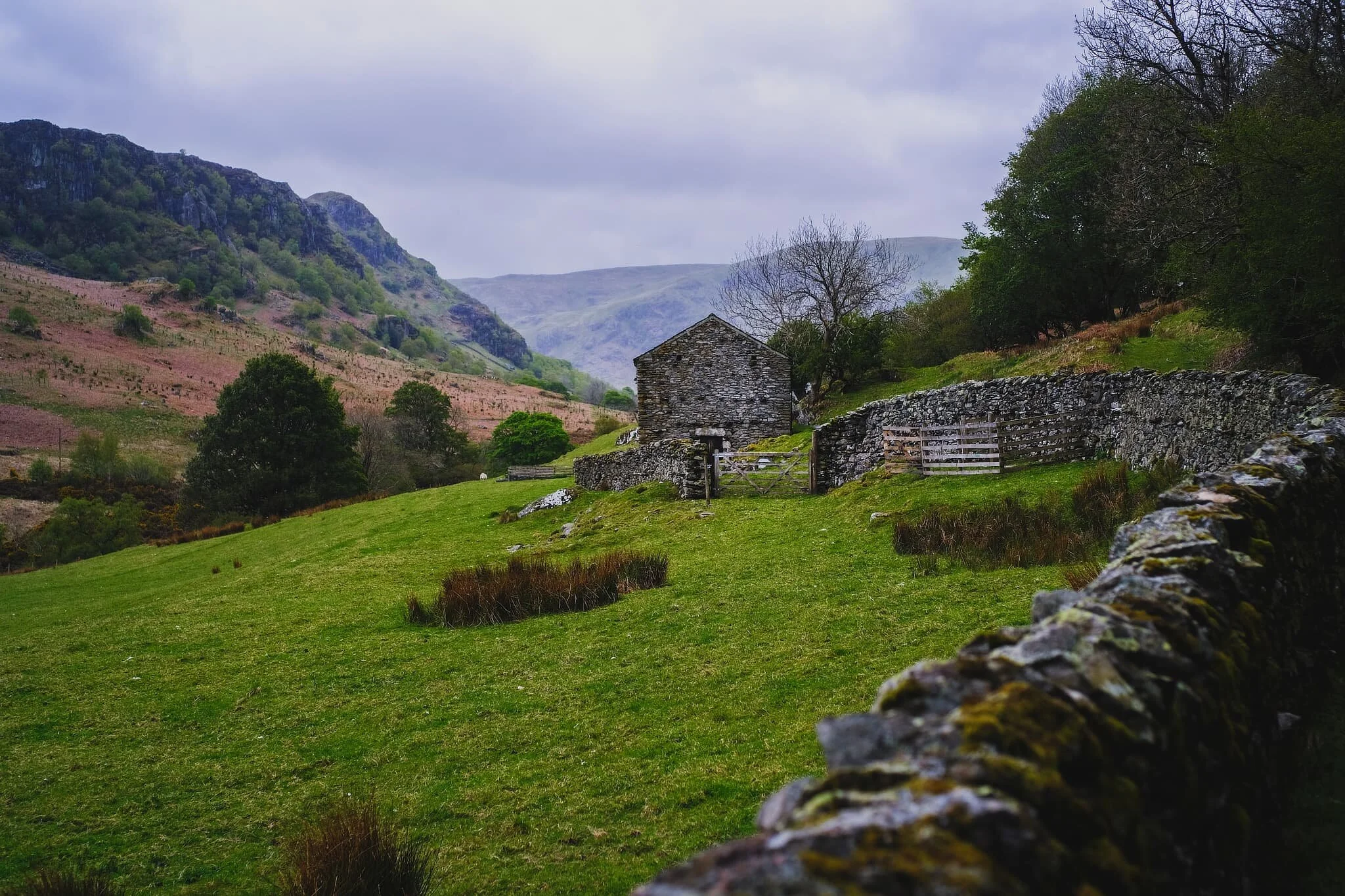 Further down the valley, the views start to open up revealing Gouther Crag on the left and Selside in the distance.