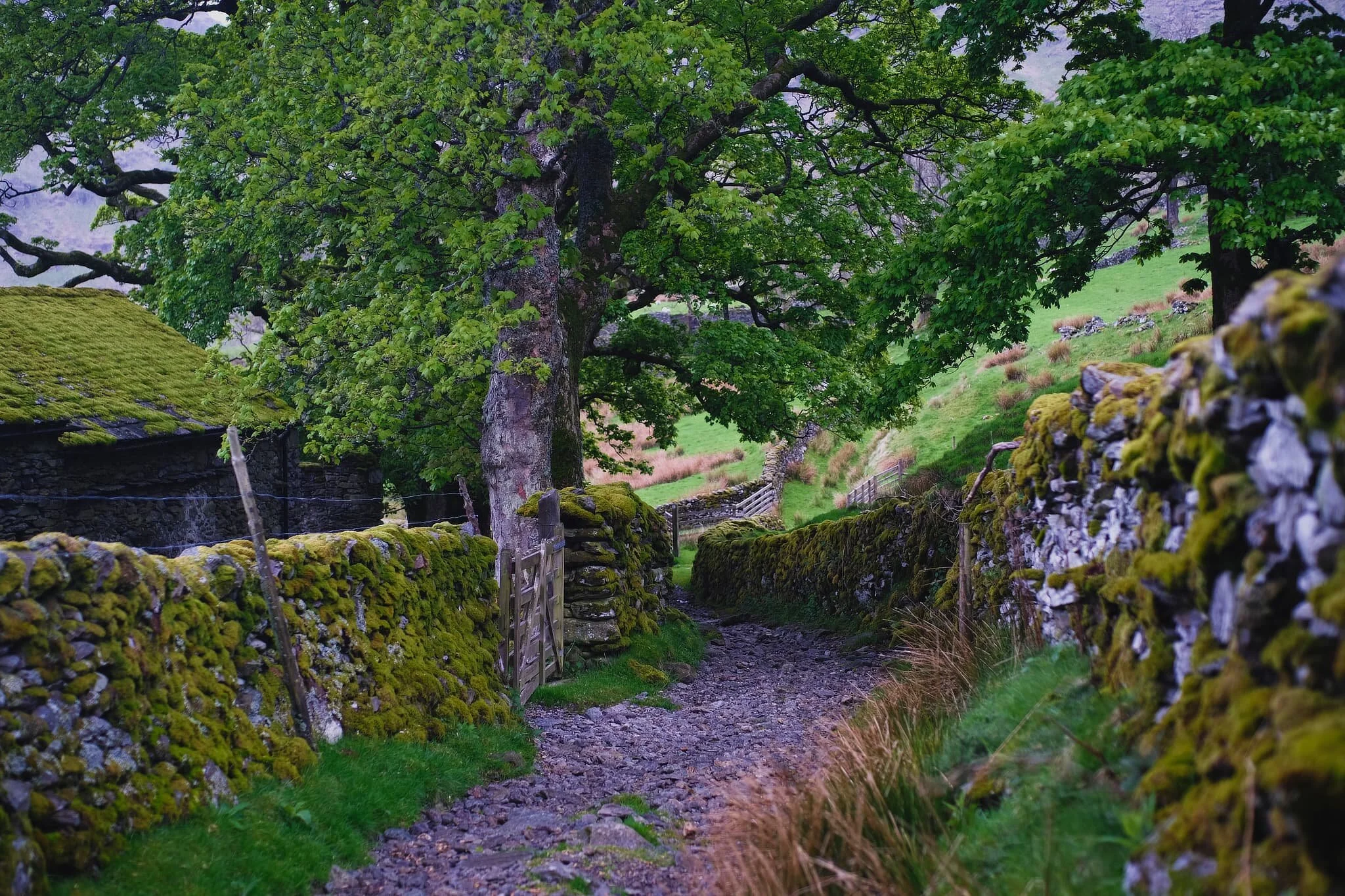 This is near Swindale Head Farm. Now the lane becomes loose pitch and stone as we make our down to the valley bottom, turning south.