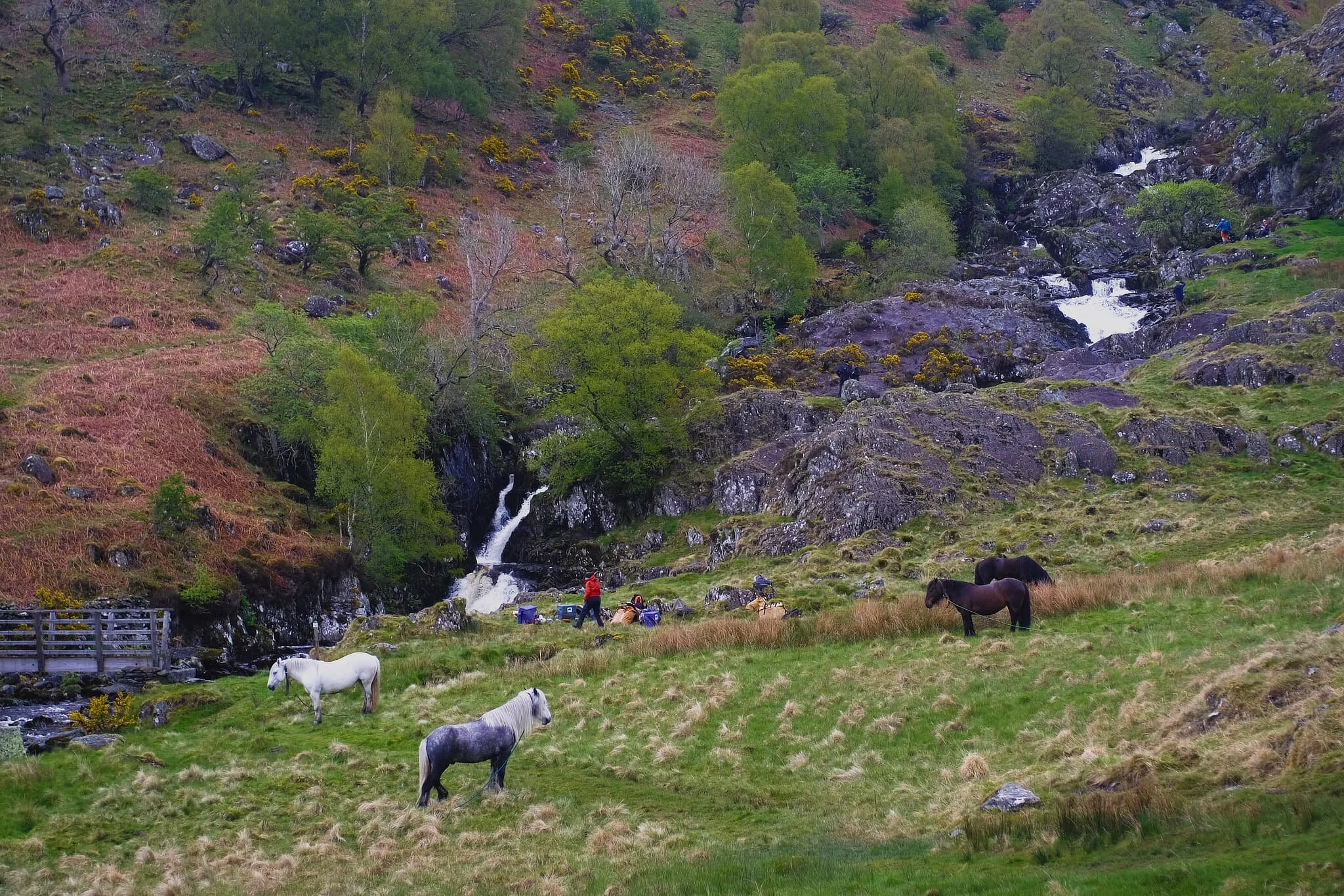 We weren’t the only ones in the valley. Resting at the bottom of Forces Falls were a small group of hikers on their 3-day Fell Pony Trek . Nice scene, isn’t it?