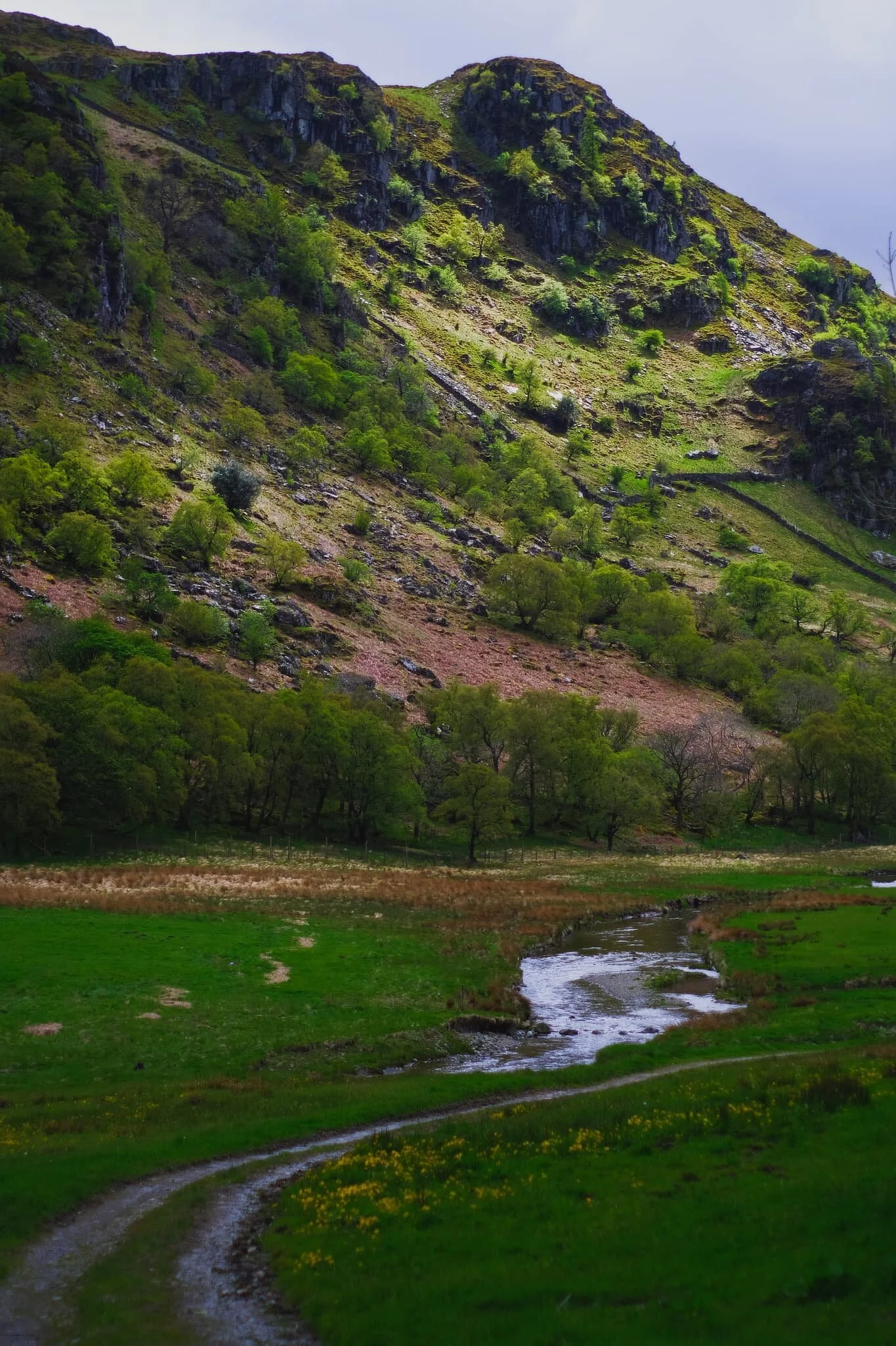 The flood plains of Swindale, now able to flood naturally as the river’s been rewiggled.
