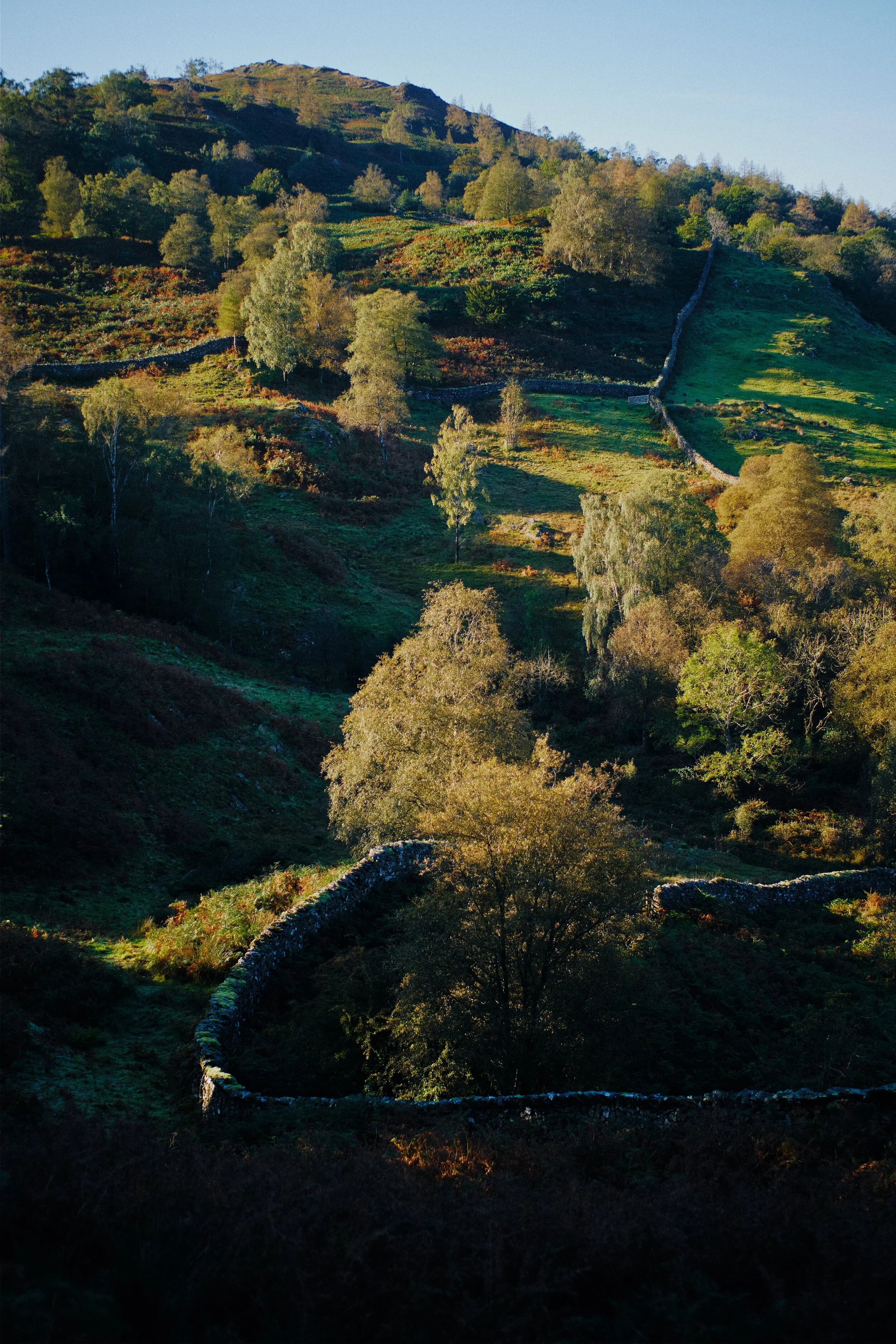  Where there&rsquo;s a winding dry stone wall, there I am trying to photo a composition. 