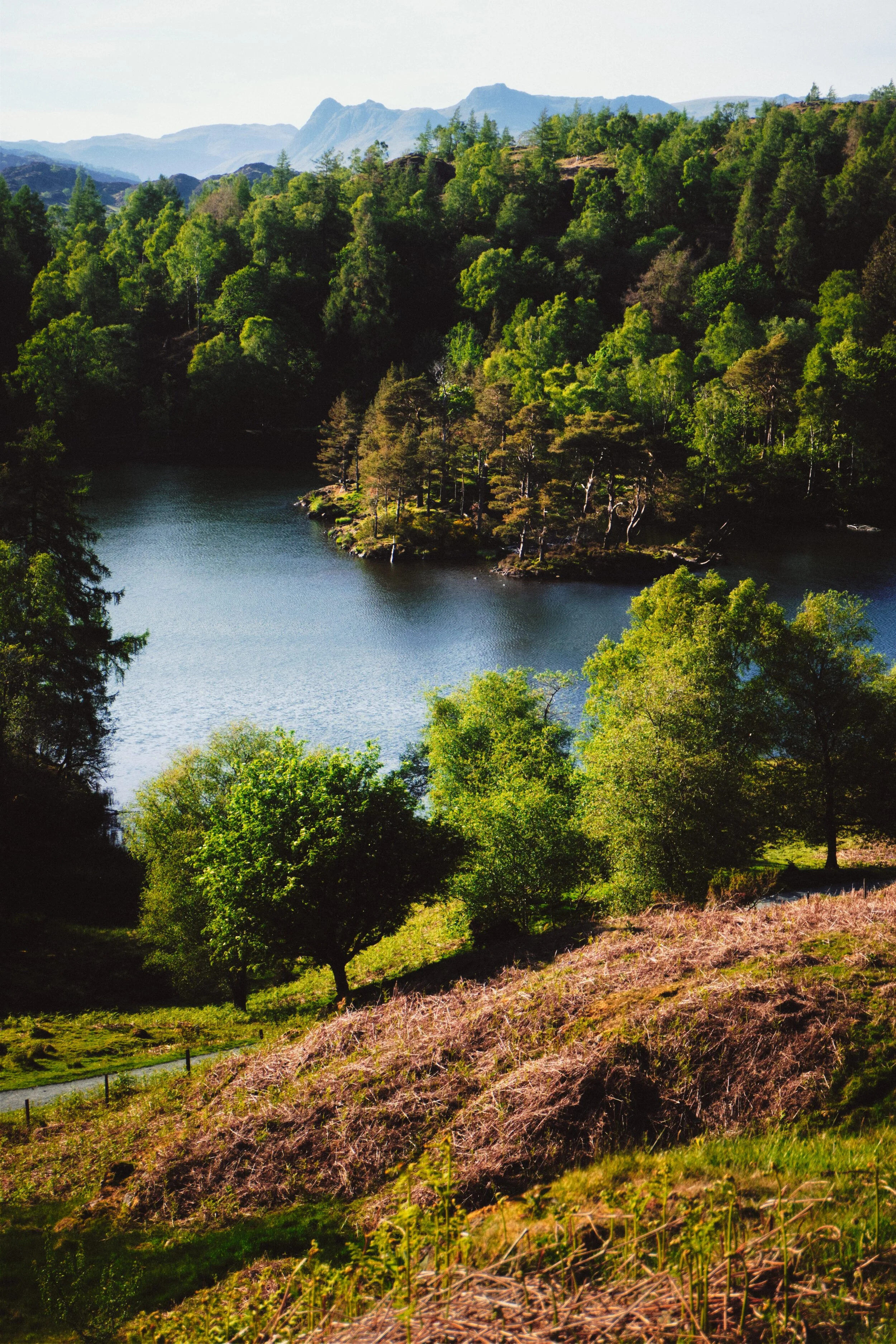The Langdale Pikes with Tarn Hows below, shot from a high rocky outcrop above the lake.